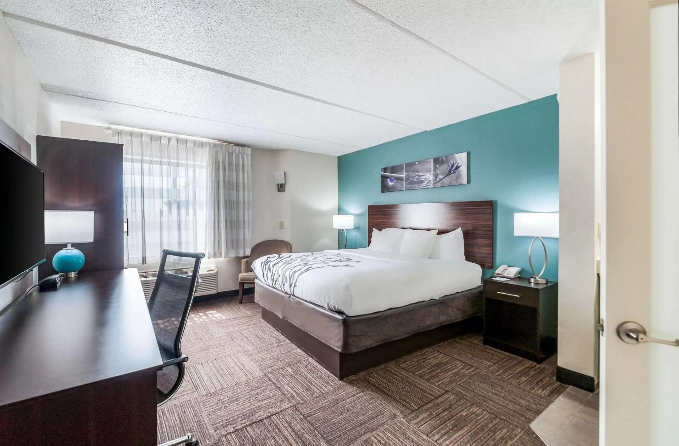 King Room - Non Smoking in Sleep Inn & Suites Rehoboth Beach