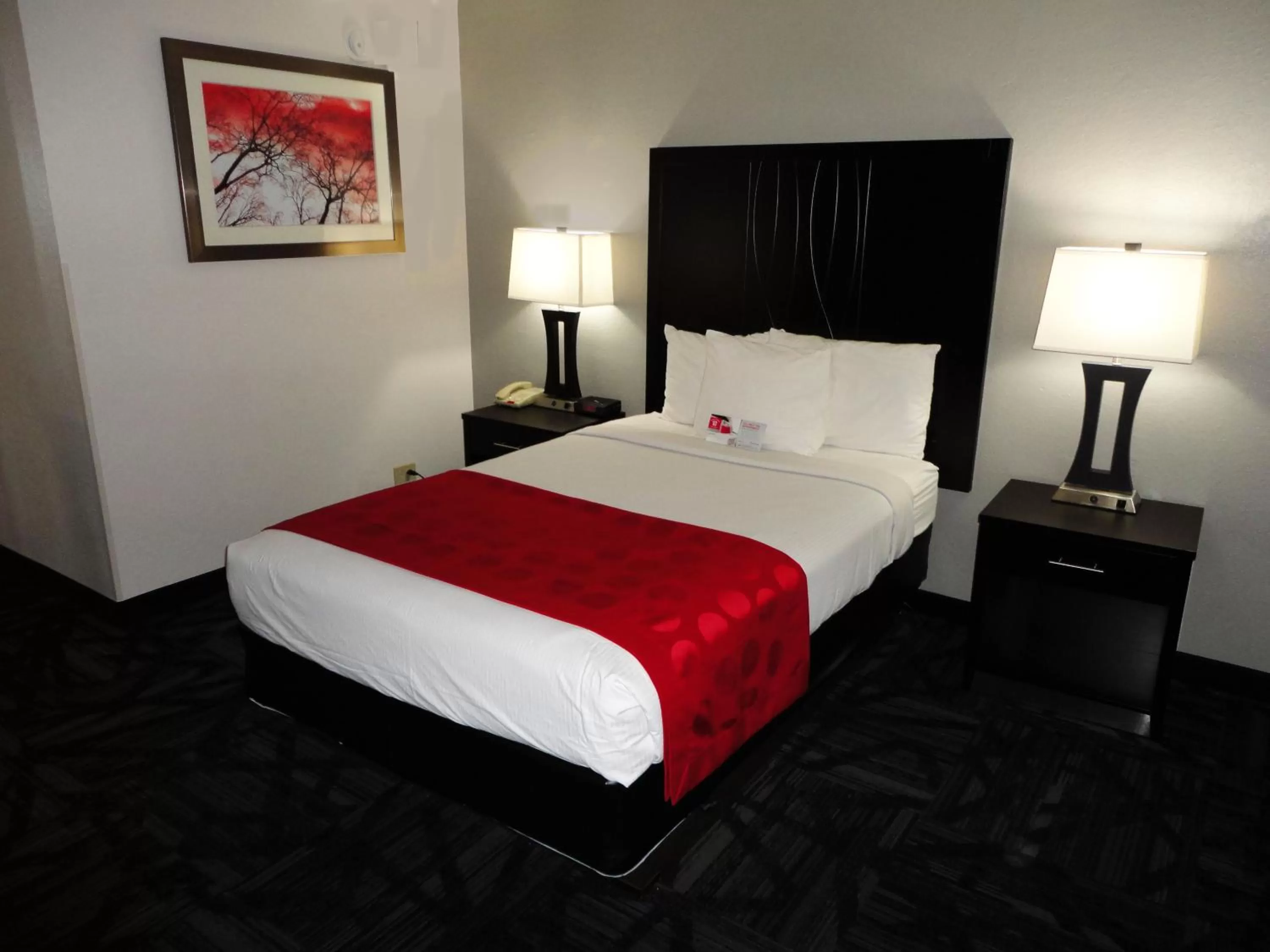 Exterior Double Room with One Full Bed - Non-Smoking  in Ramada by Wyndham Tuscaloosa