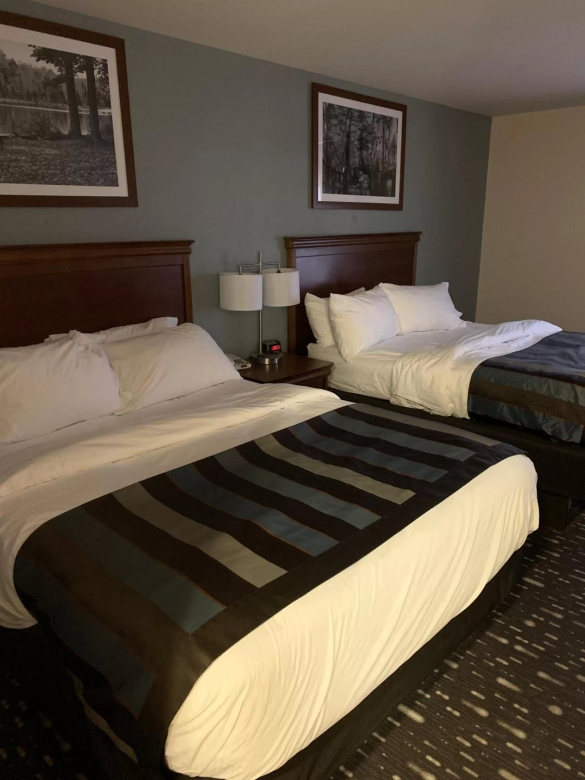 1 King Bed, Studio Superior Suite, Non-Smoking in Wingate by Wyndham Brighton