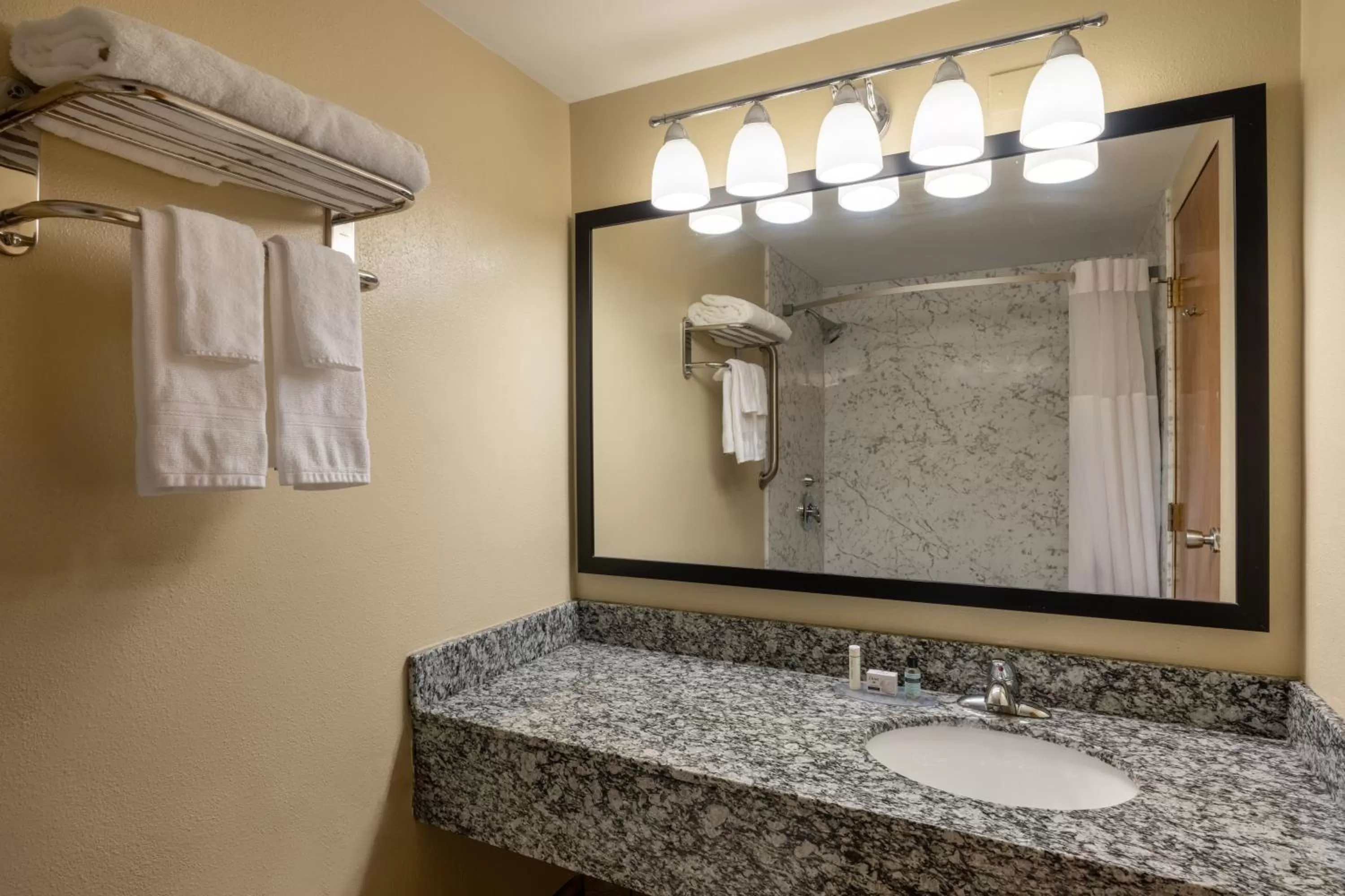 1 King Bed, Mobility Accessible Room, Roll-In Shower, Non-Smoking in AmericInn by Wyndham Cedar Rapids North