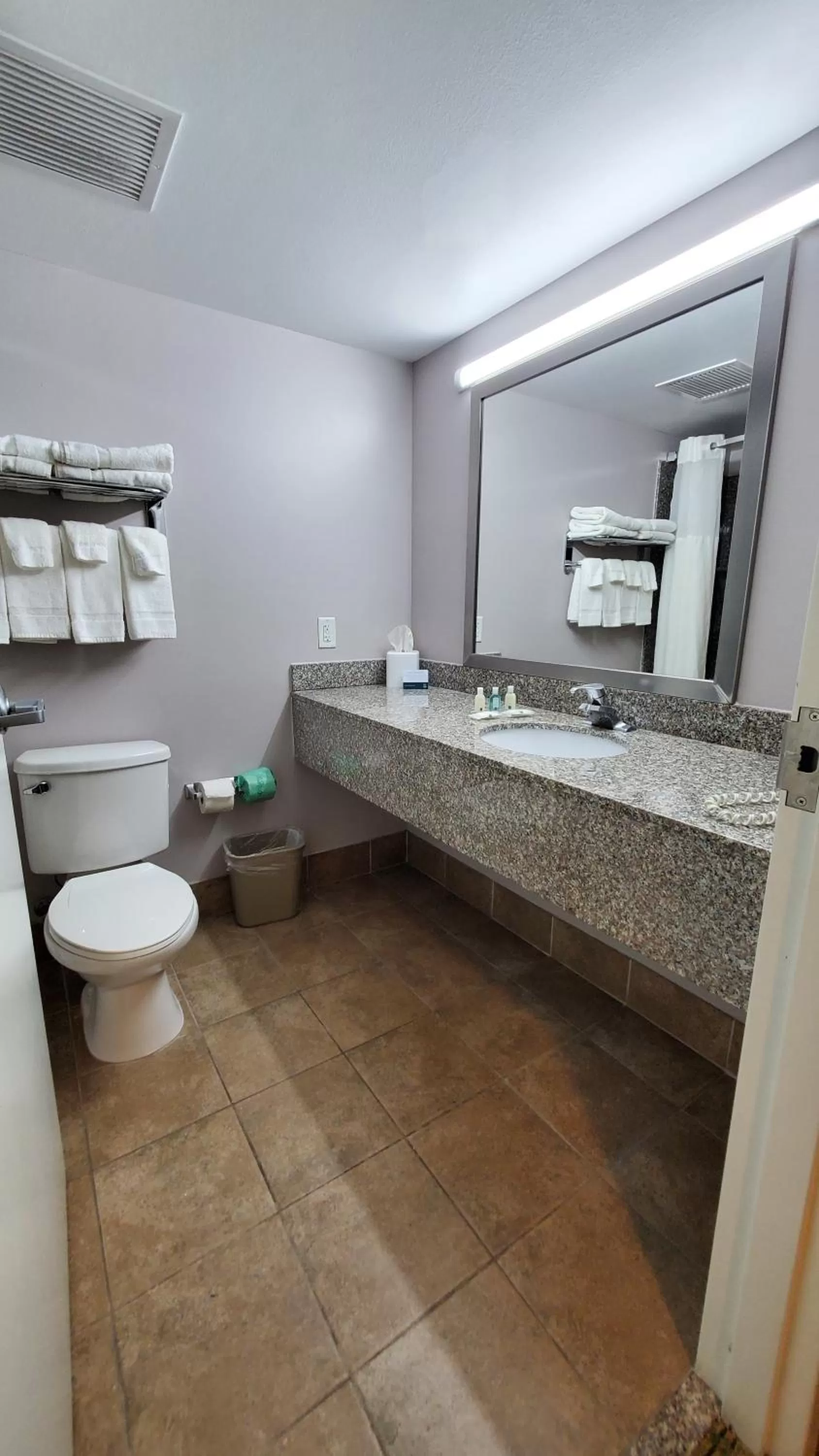 King Suite with Sofa Bed - Non-Smoking in Quality Inn & Suites Tampa near Fairgrounds and Casino