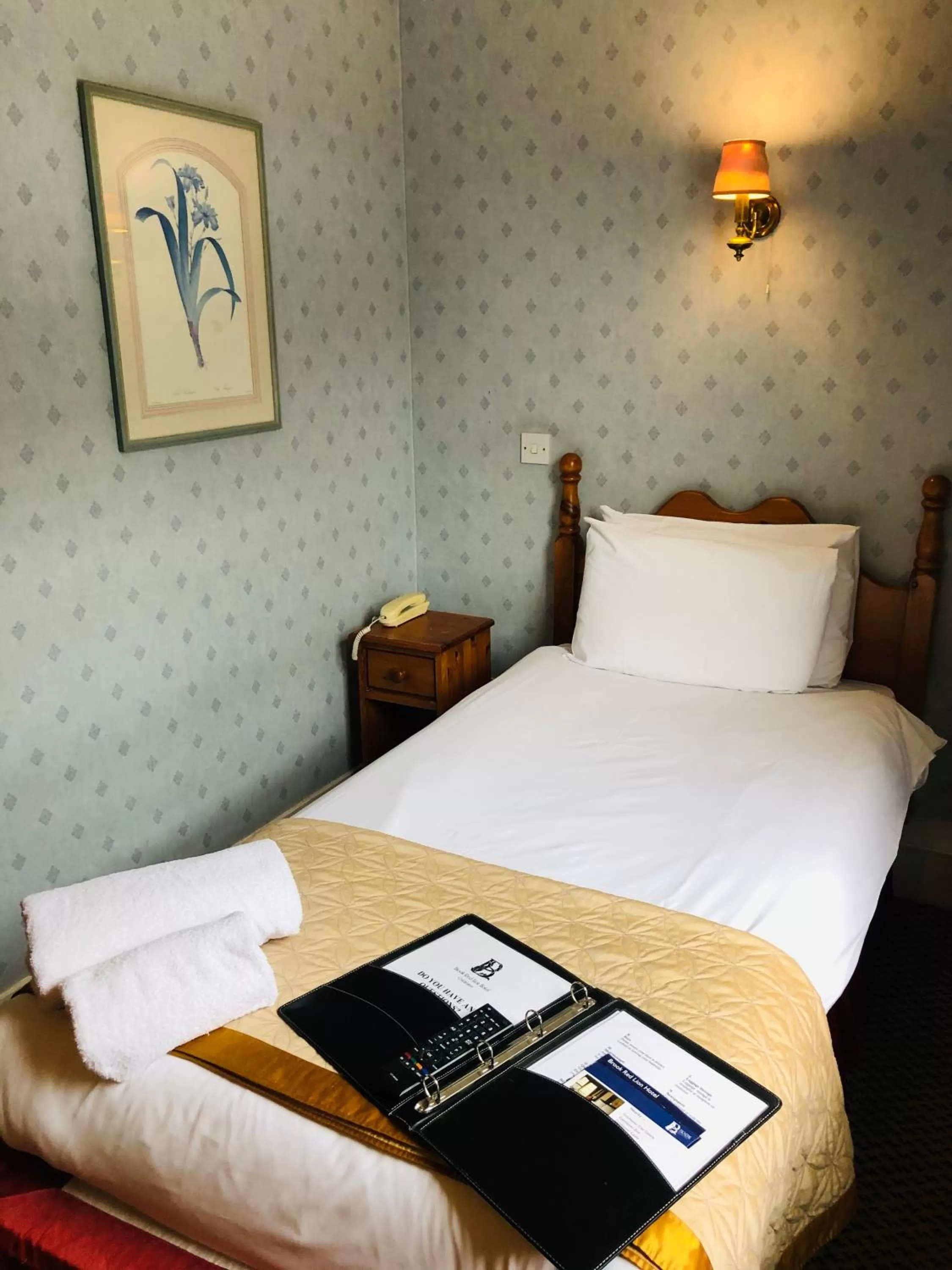 Single Room in Brook Red Lion Hotel