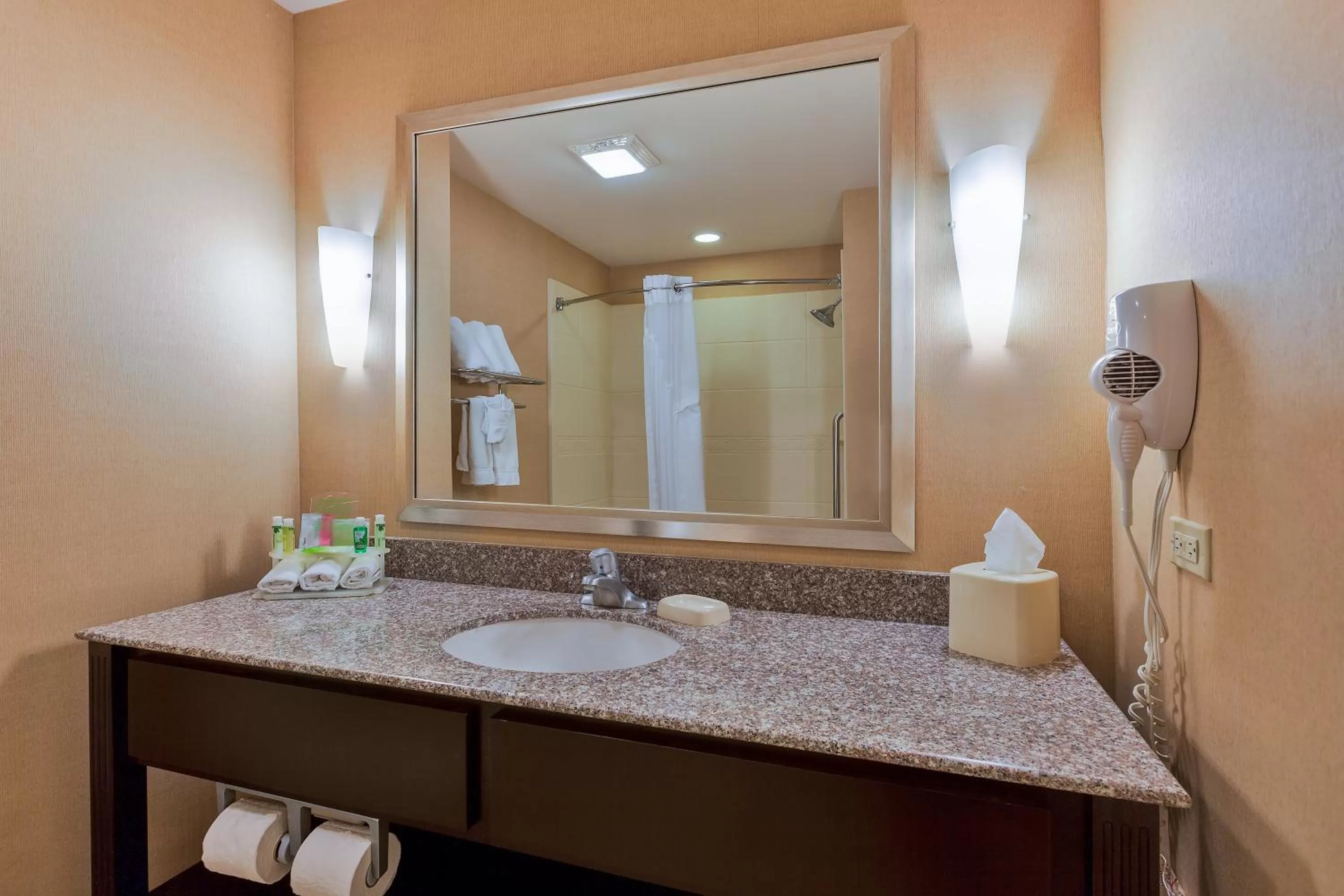 King Suite in Holiday Inn Express and Suites Alpine by IHG