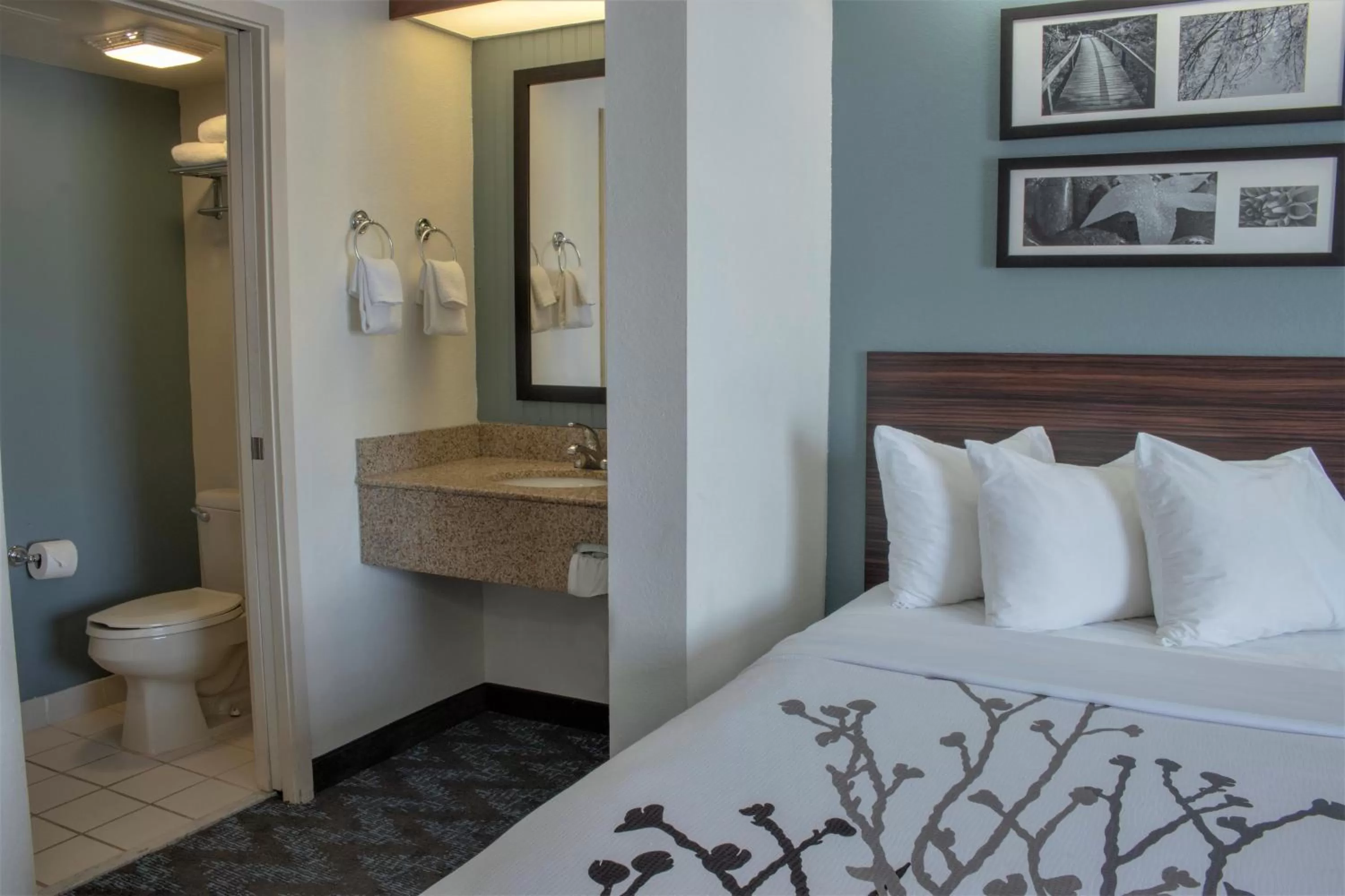 King Room with Accessible Tub - Accessible/Non-Smoking in Sleep Inn Lake Wright