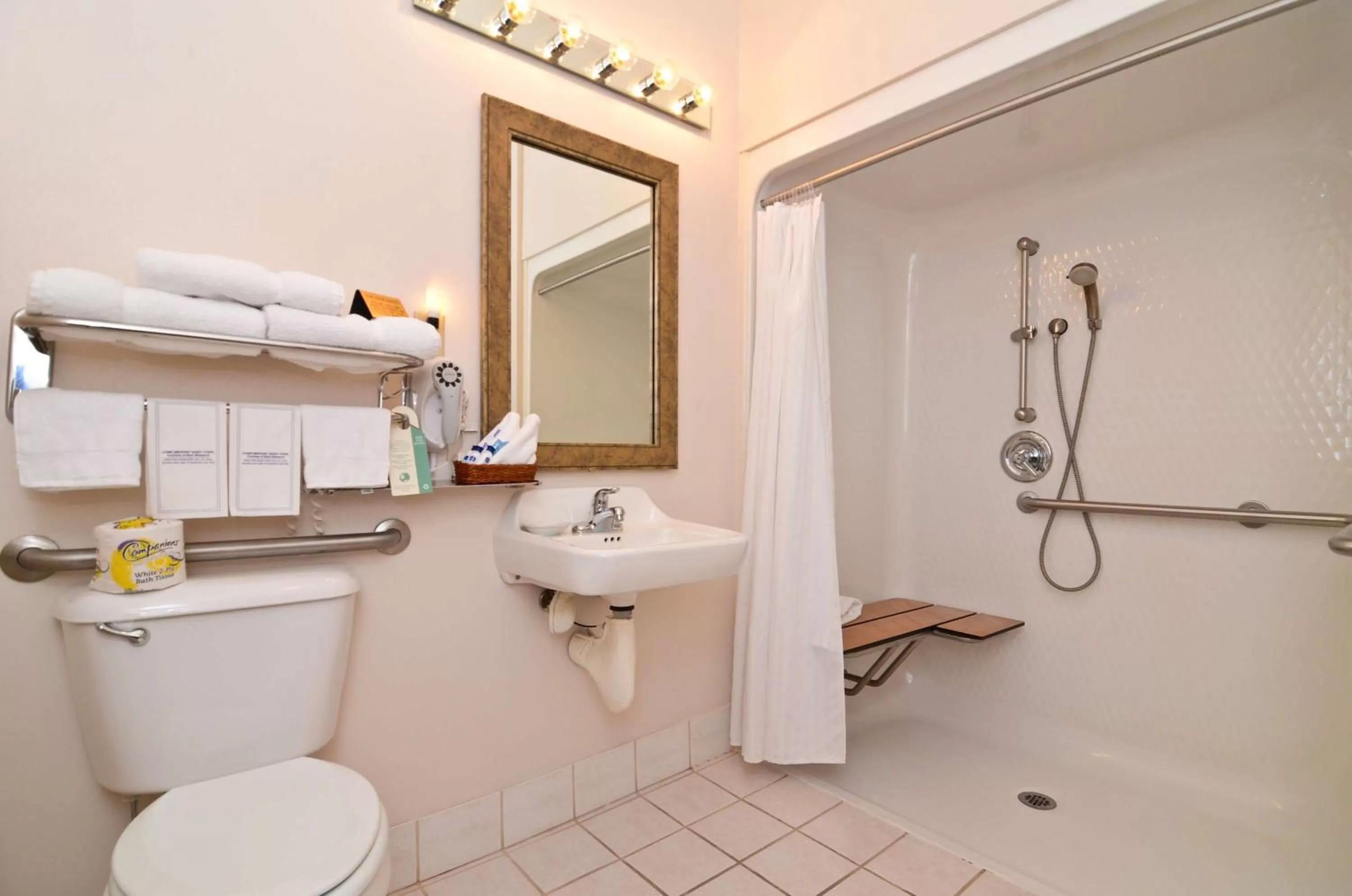 King Room with Roll-In Shower - Disability Access in Best Western Brookfield