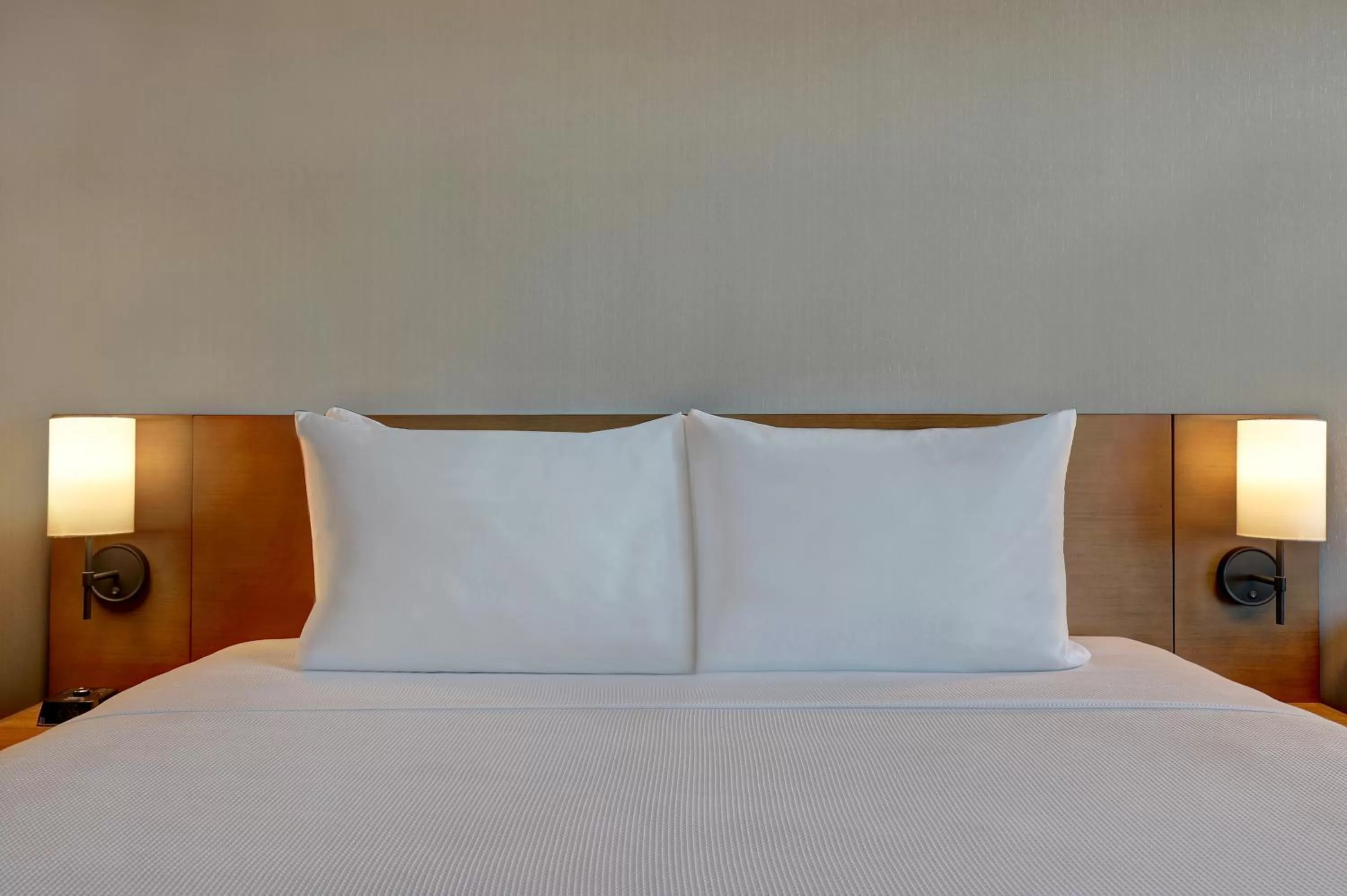 Specialty Queen Room with Sofa Bed in Hyatt Place Prince George