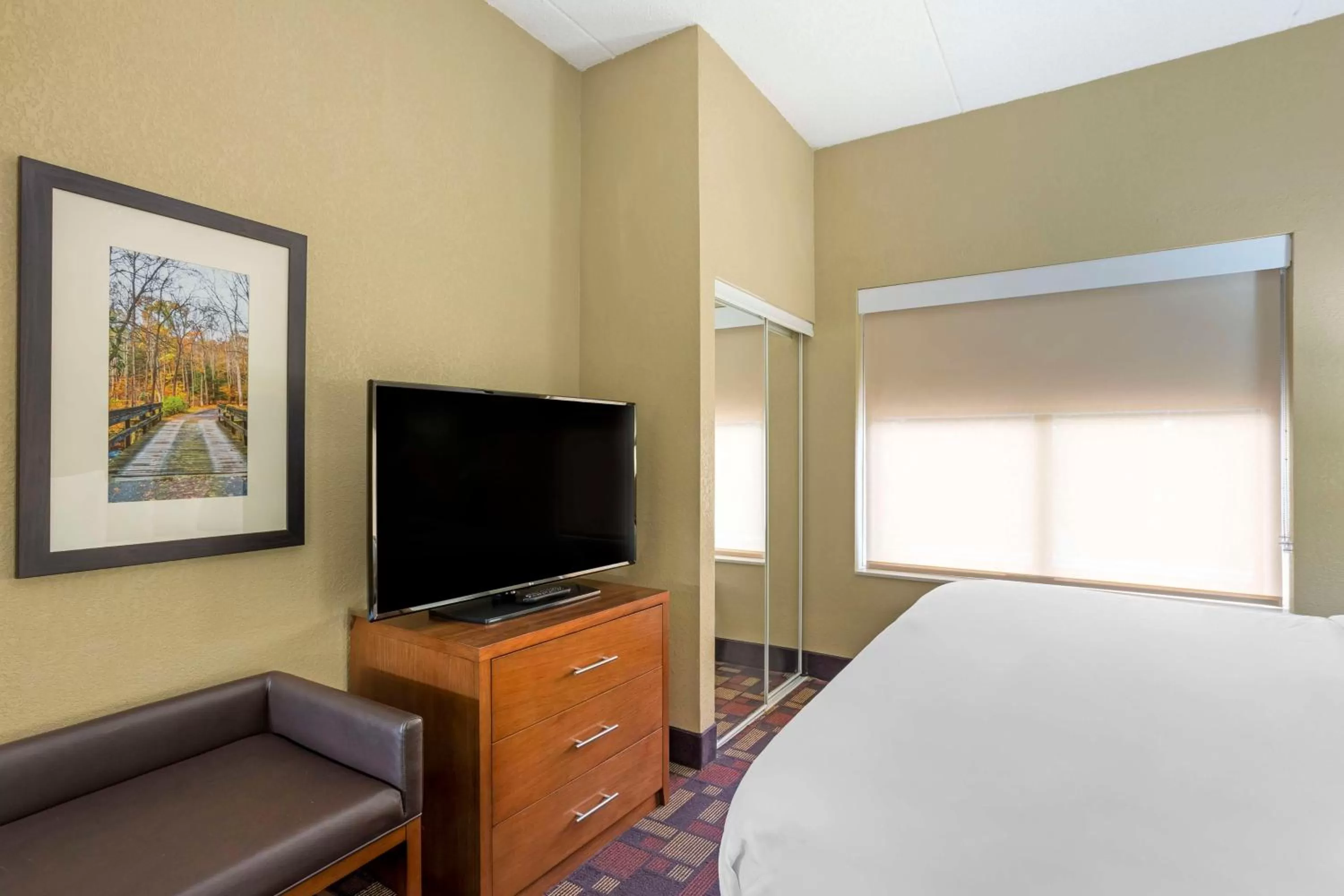 King Suite with Sofa Bed and Bath Tub - Disability Access/Non-Smoking in Best Western Grantville Hershey