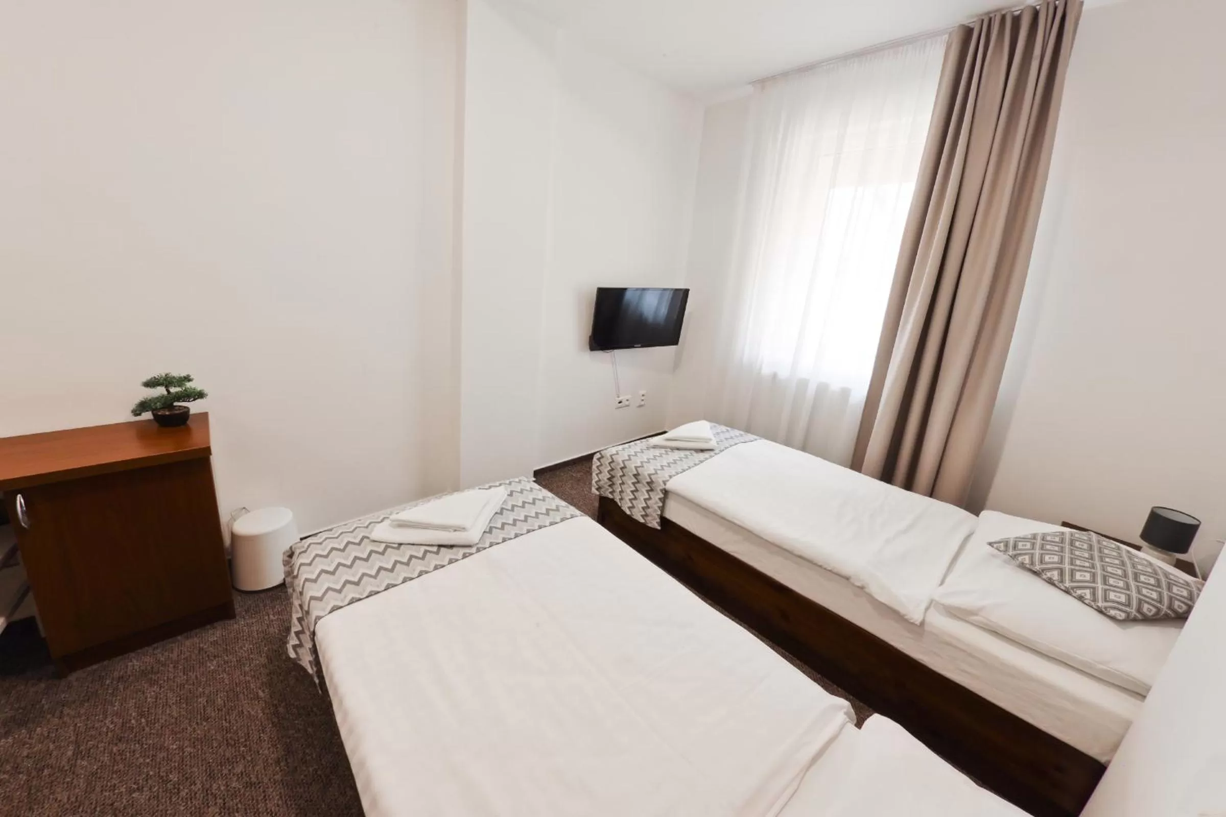 Standard Twin Room - single occupancy in Hotel Slanica
