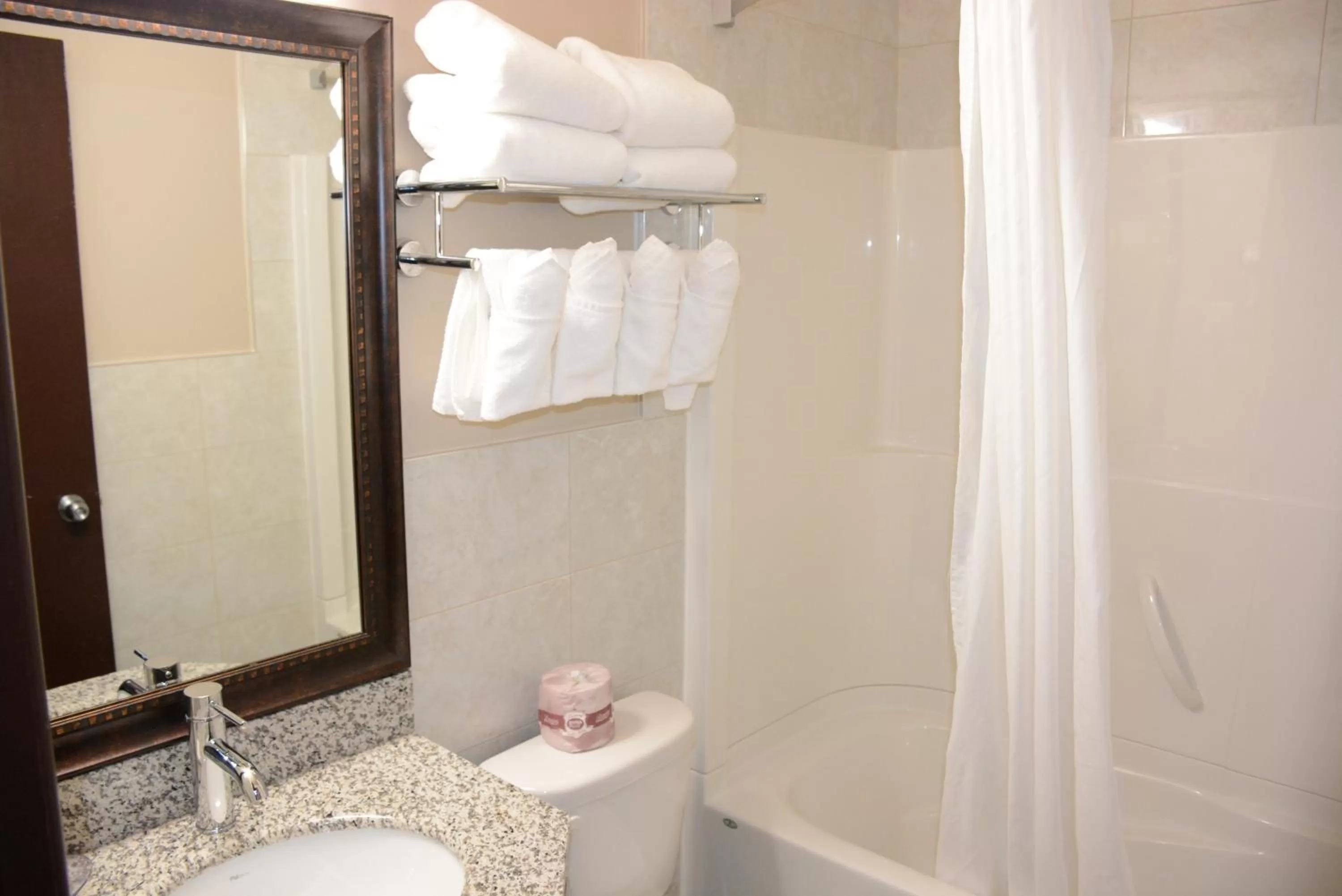 Queen Room - Smoking in Travelodge by Wyndham Lethbridge