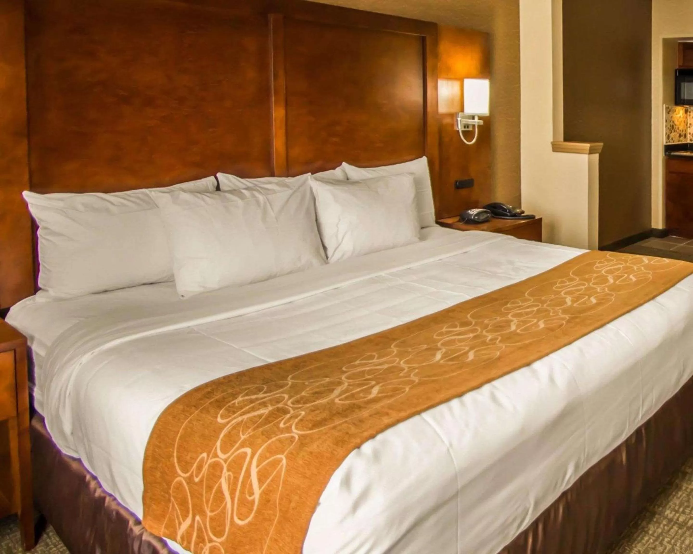 Efficiency King Suite with Kitchenette  in Quality Suites NYC Gateway