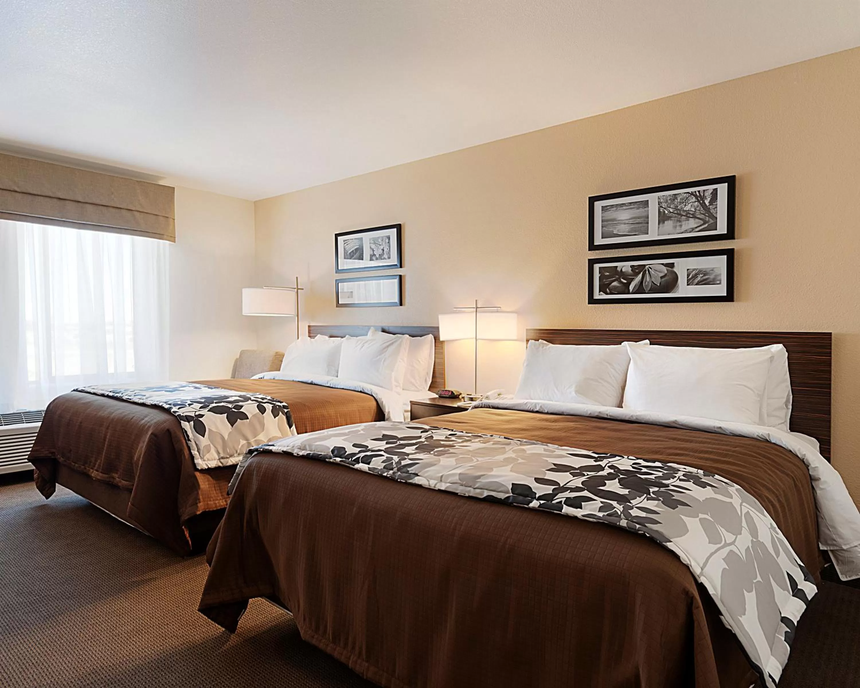 Queen Room with Two Queen Beds - Accessible/Non-Smoking  in Sleep Inn & Suites Carlsbad Caverns Area