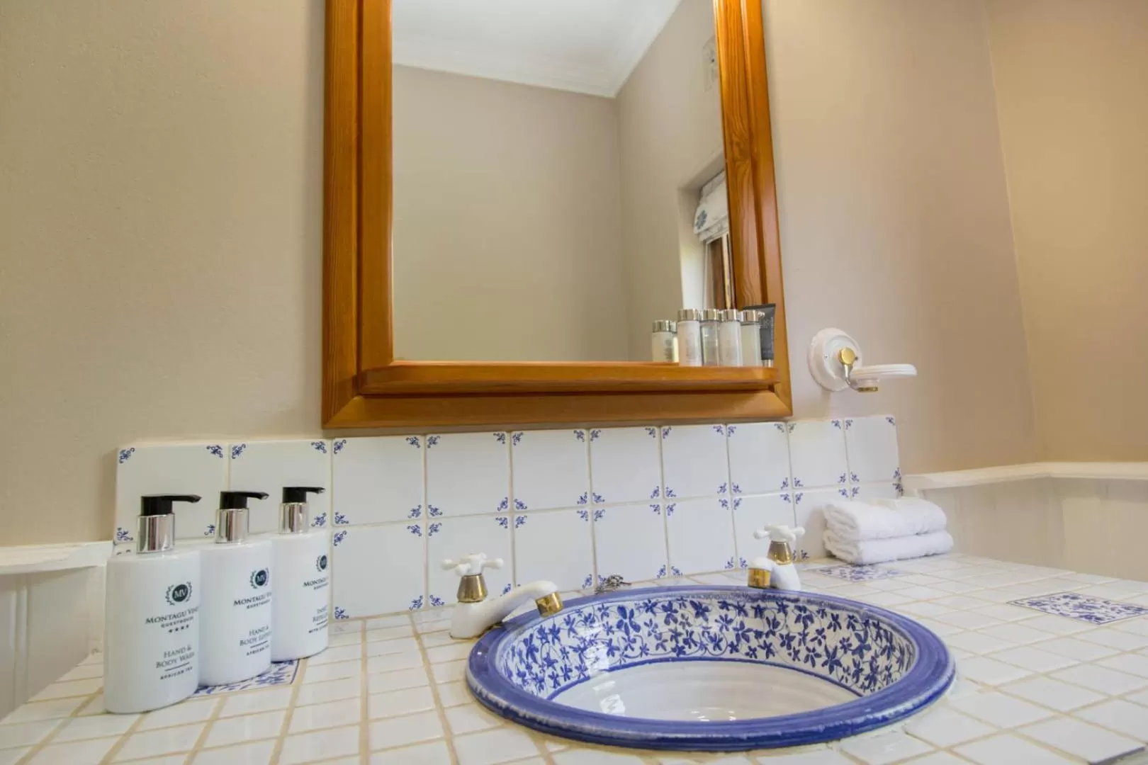 Standard Twin Room with Garden View - single occupancy in Montagu Vines Guesthouse