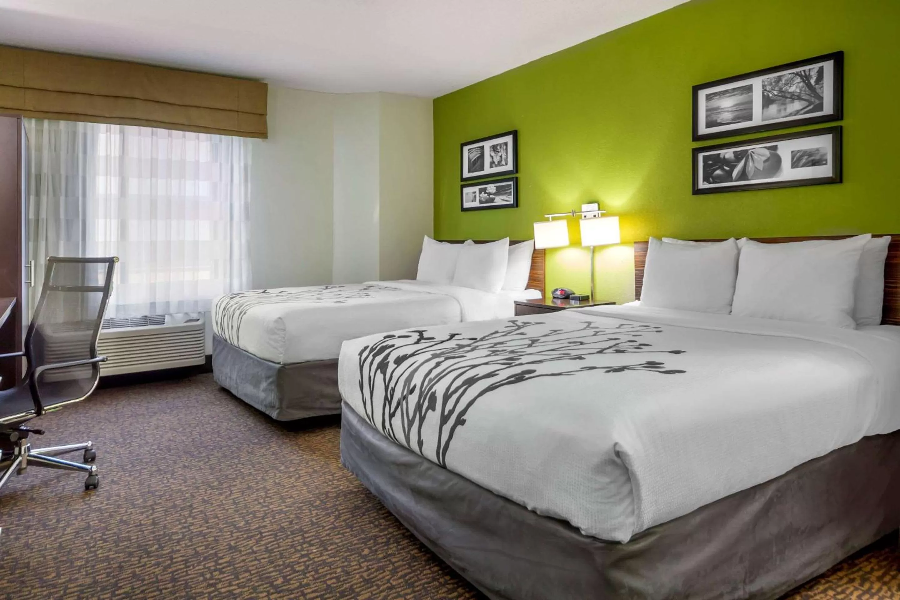 Deluxe Queen Room with Two Queen Beds - Non-Smoking in Sleep Inn Grand Island North