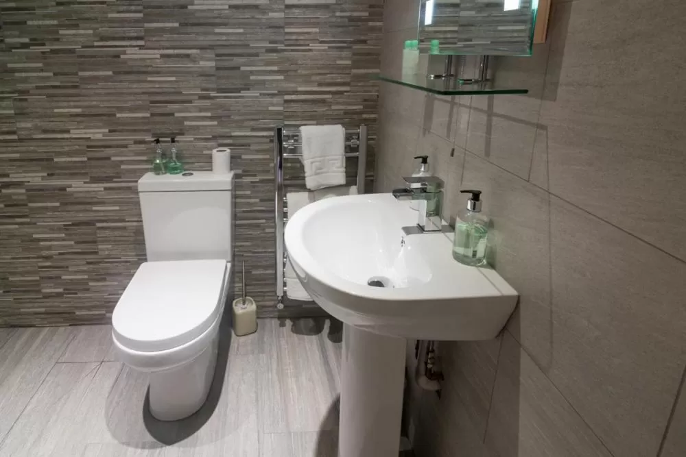 Double Room - single occupancy in The Red Pump Inn