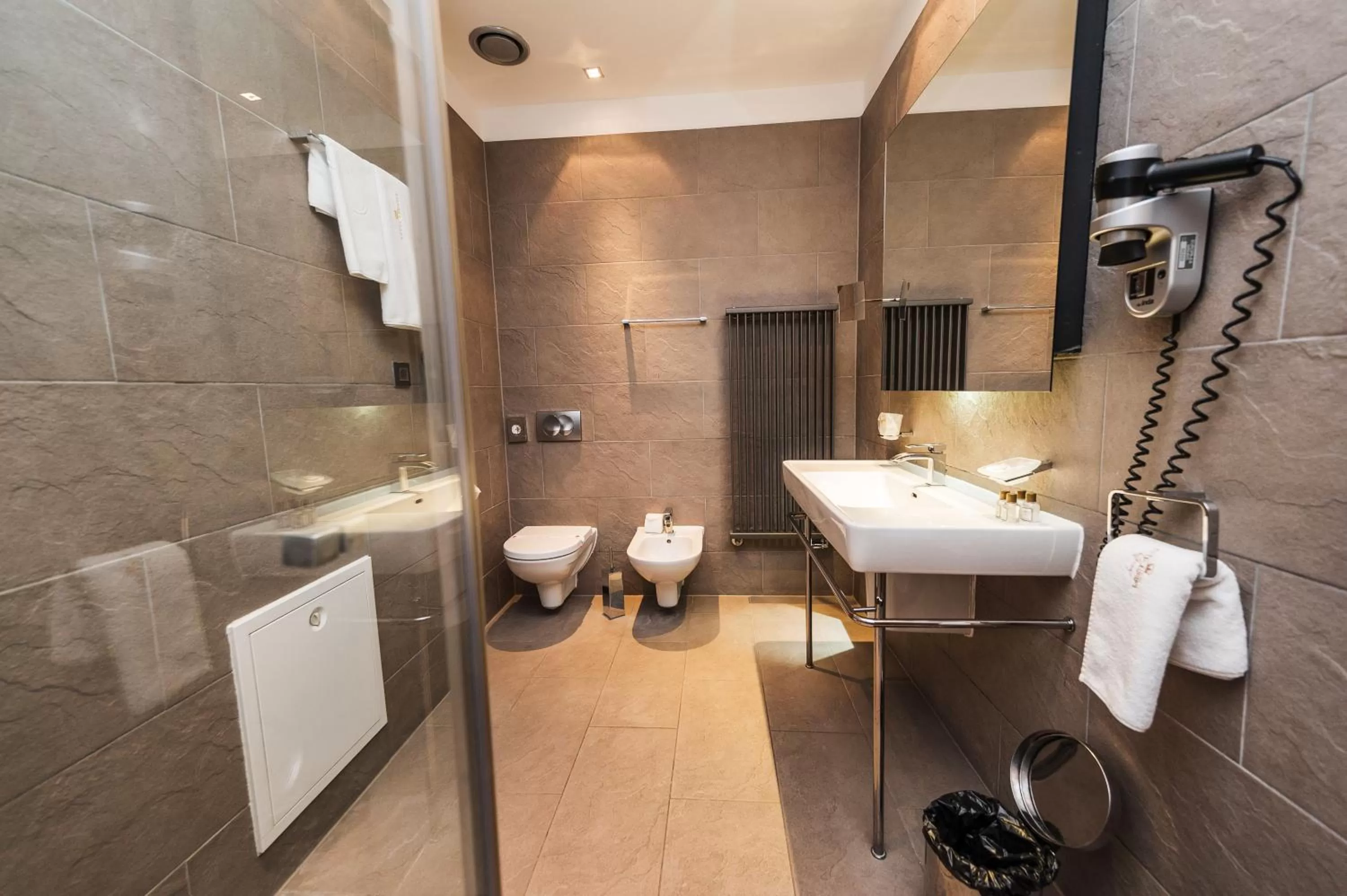 Standard Double Room - Single Use in Hotel Europe