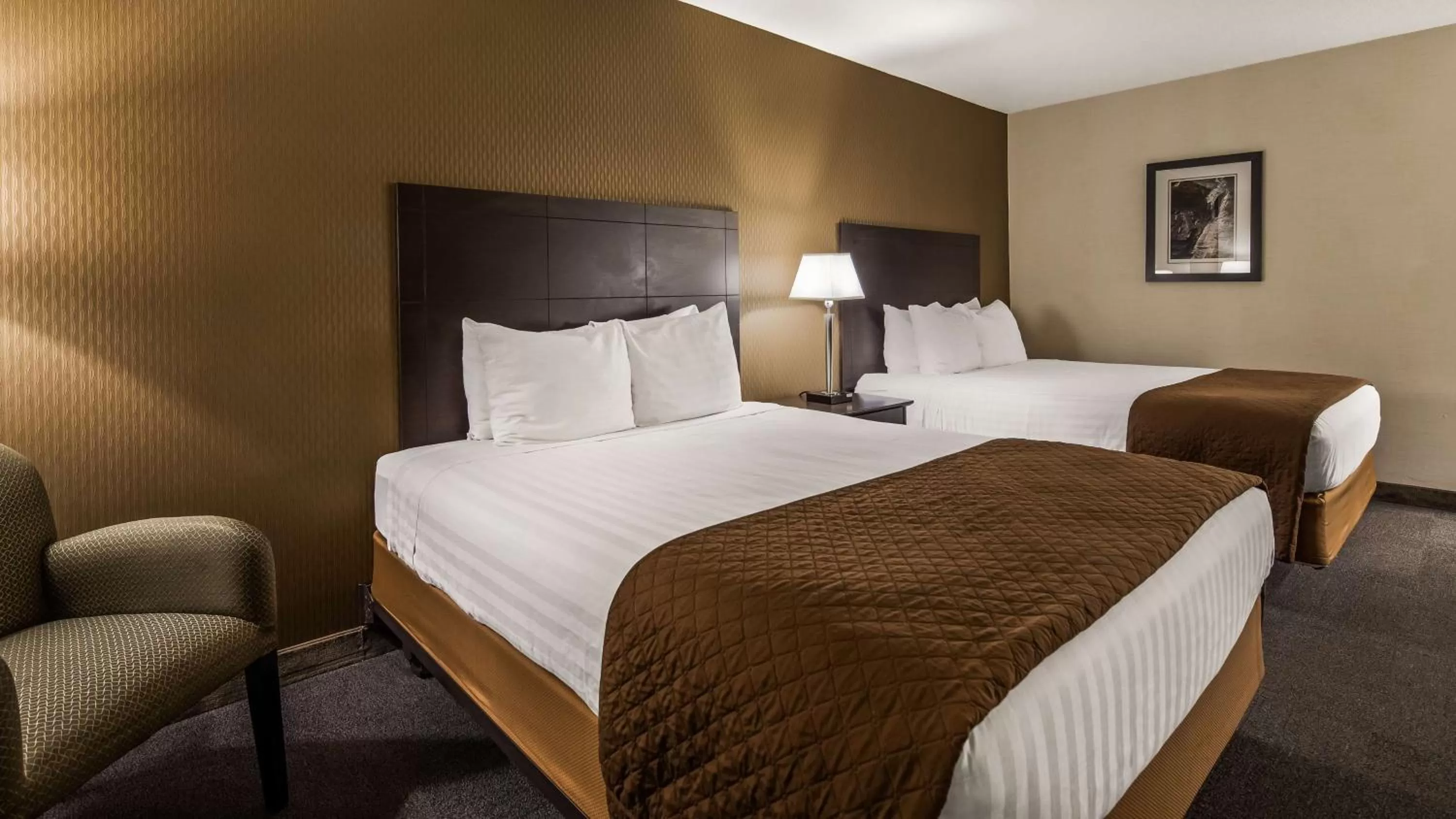 Queen Room with Two Queen Beds - Disability Access/Roll-in Shower in Best Western Yuba City Inn