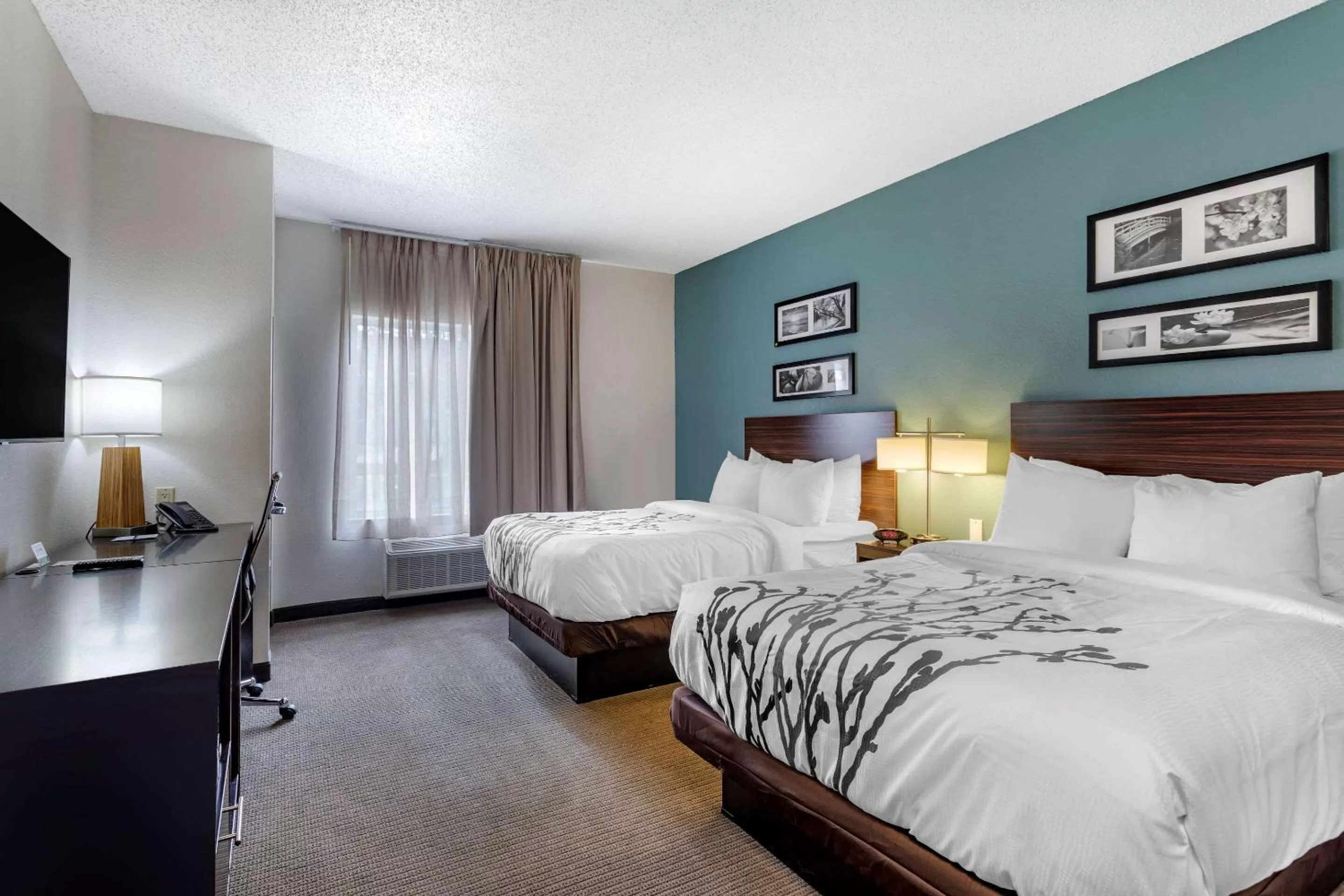 Standard Double Room with Two Double Beds - Non-Smoking/Pet Friendly in Sleep Inn & Suites Lebanon - Nashville Area