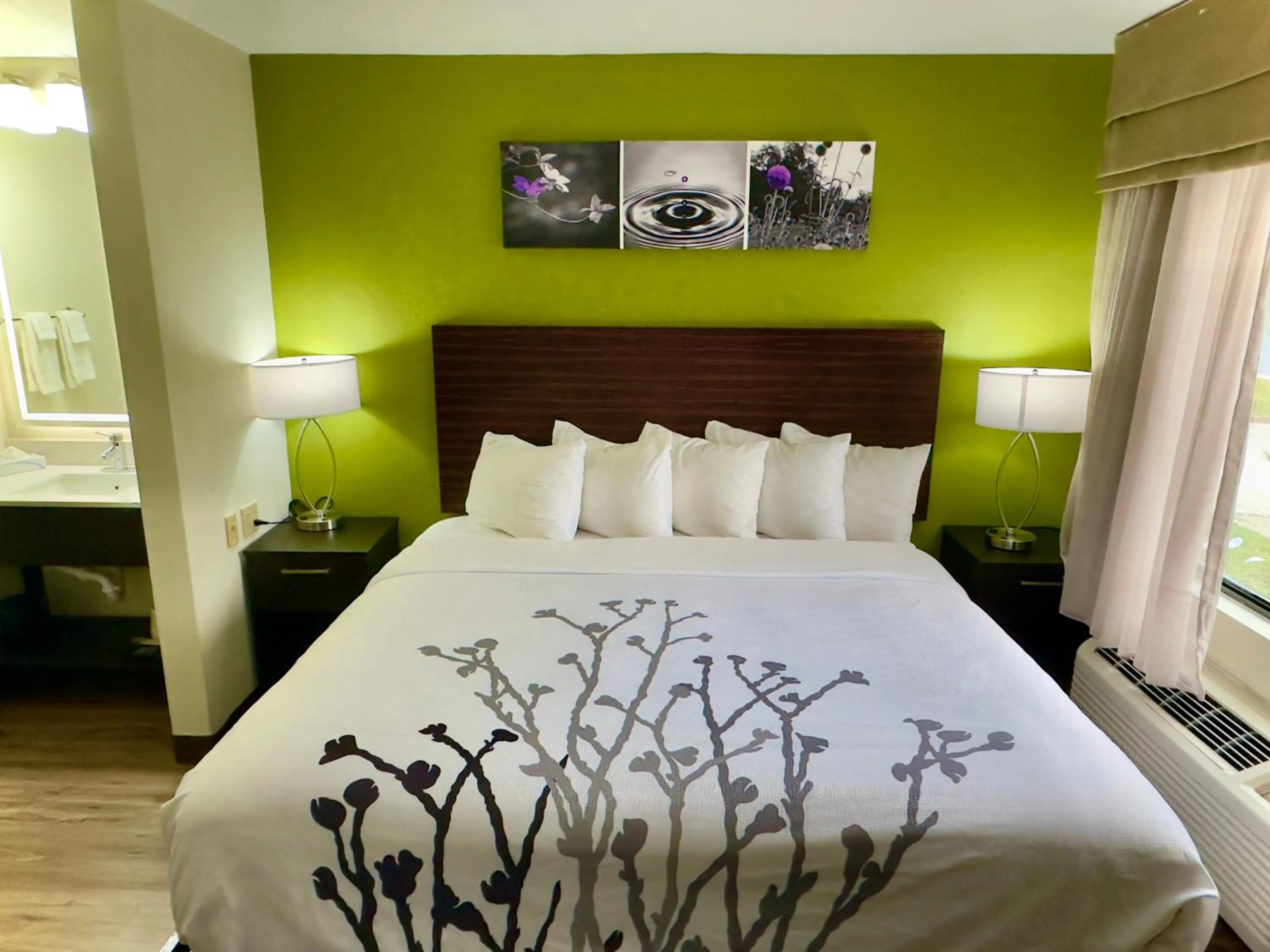 King Room - Non Smoking in Sleep Inn Savannah Gateway I-95