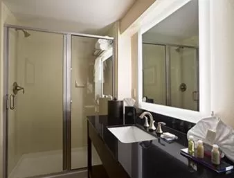 King Studio Suite - Non Smoking in Wingate by Wyndham Seminole