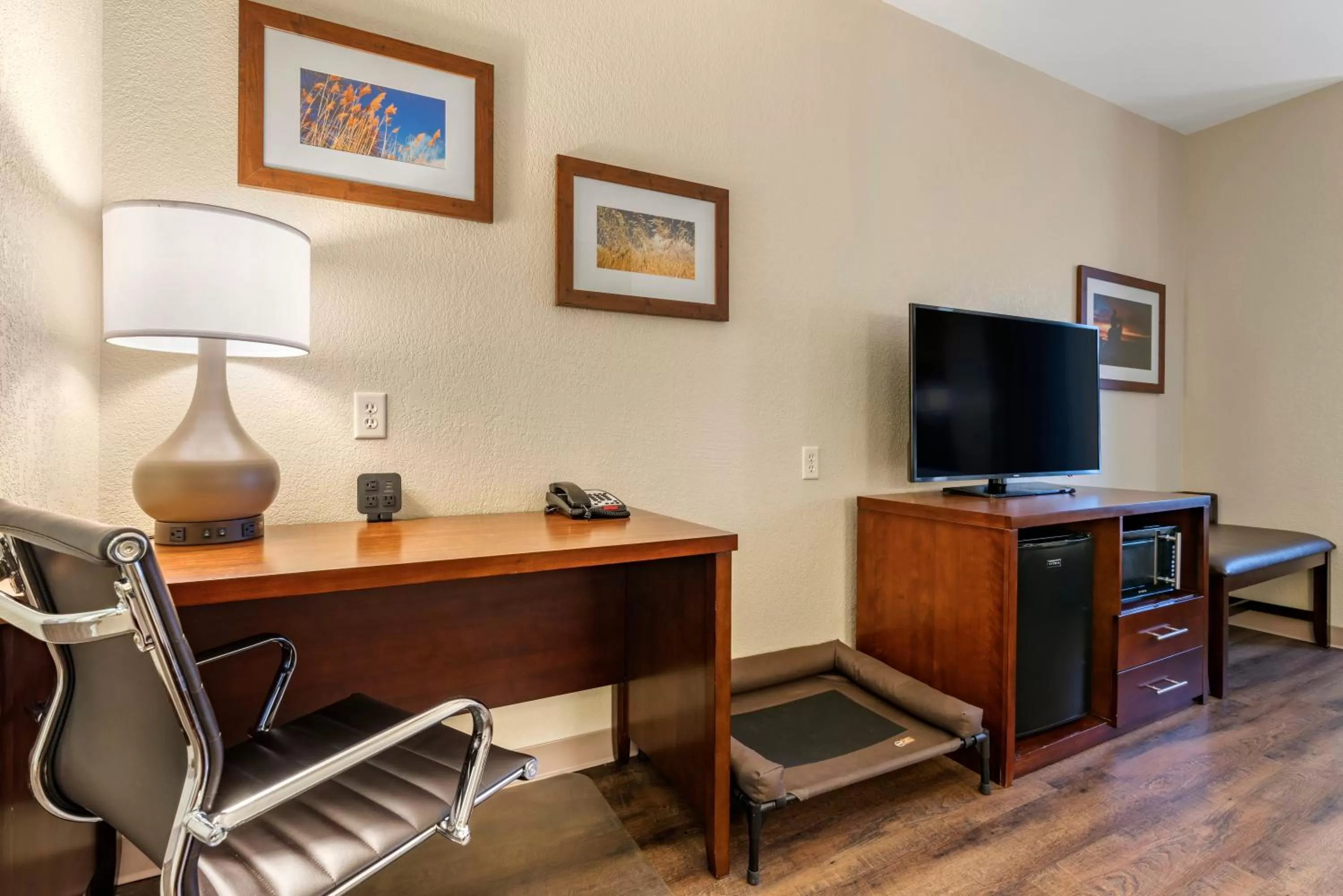 King Suite with Sofa Bed - Non-Smoking/Pet Friendly in Comfort Suites Fernley
