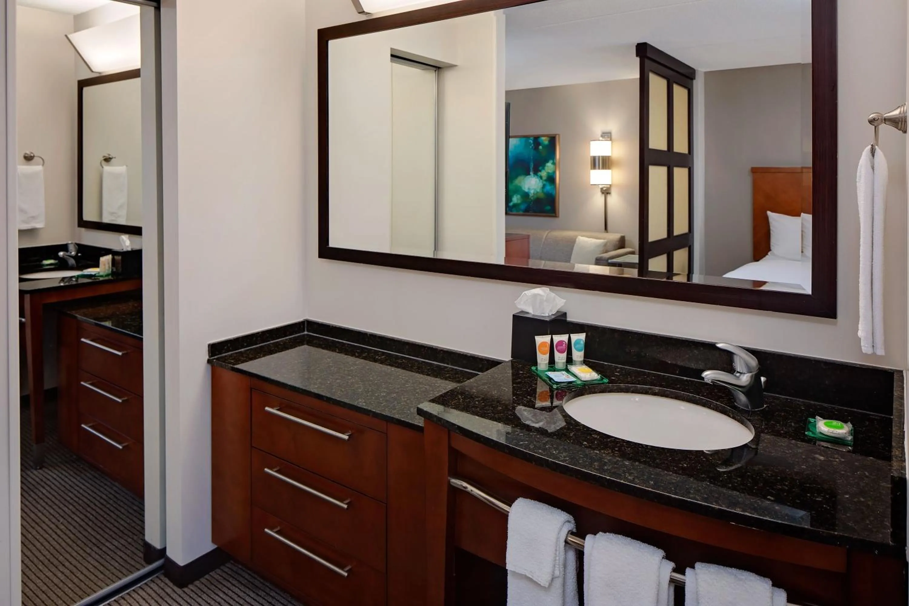 King Room with Sofa Bed and Accessible Tub - Disability Access in Hyatt Place Pittsburgh/North Shore