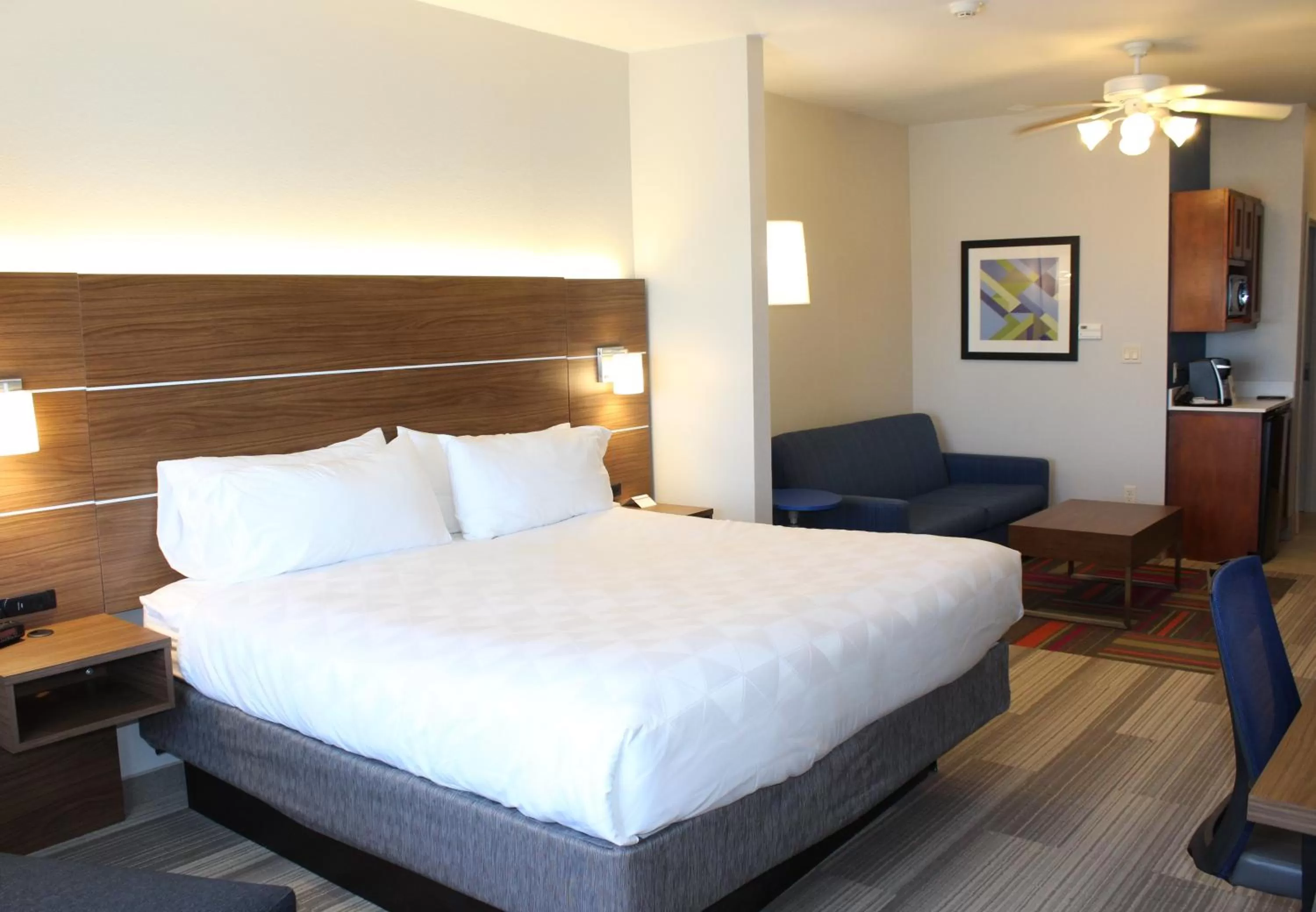 King Suite in Holiday Inn Express Hotel & Suites Mansfield by IHG