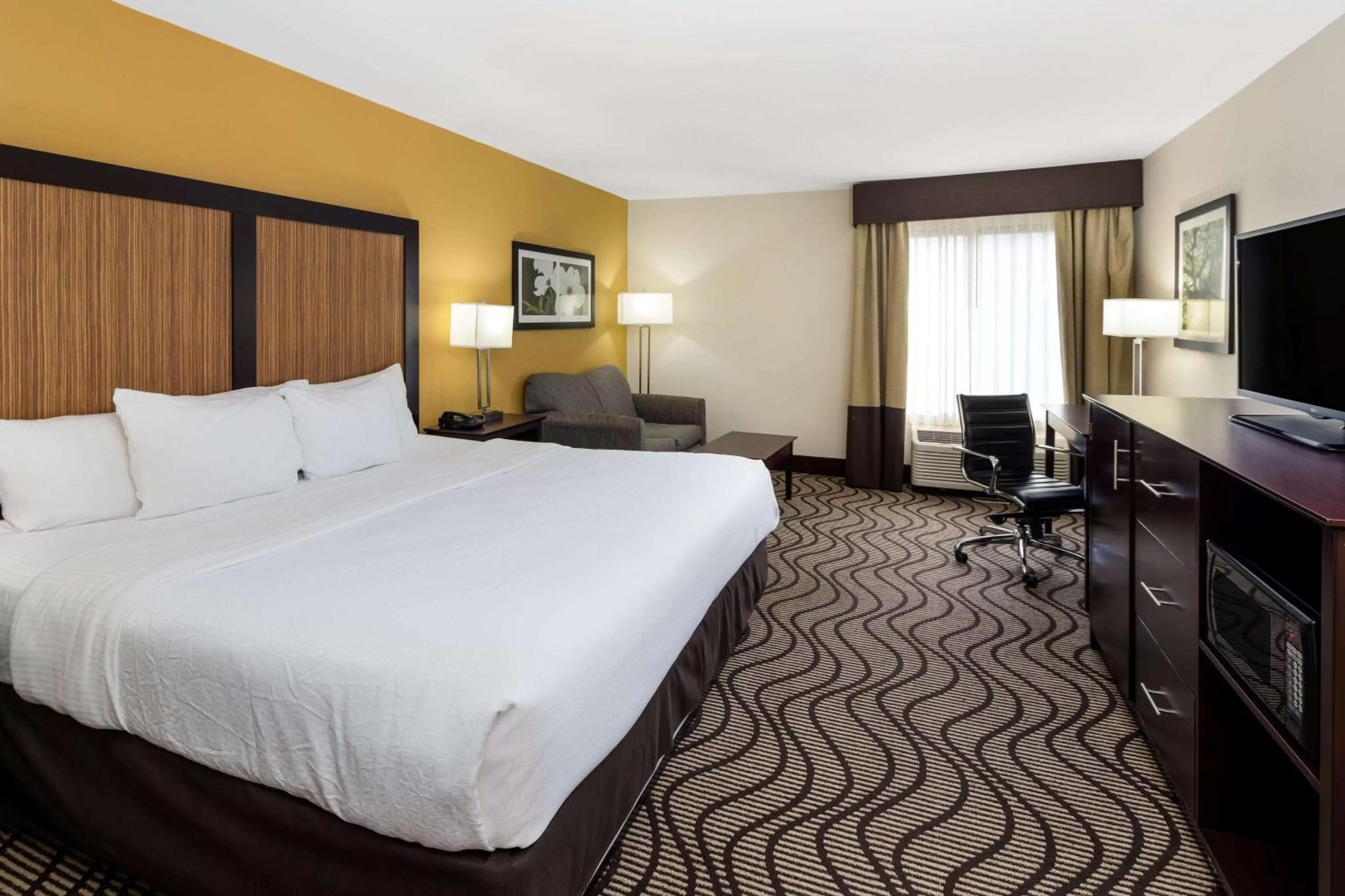King Room in La Quinta by Wyndham LaGrange / I-85