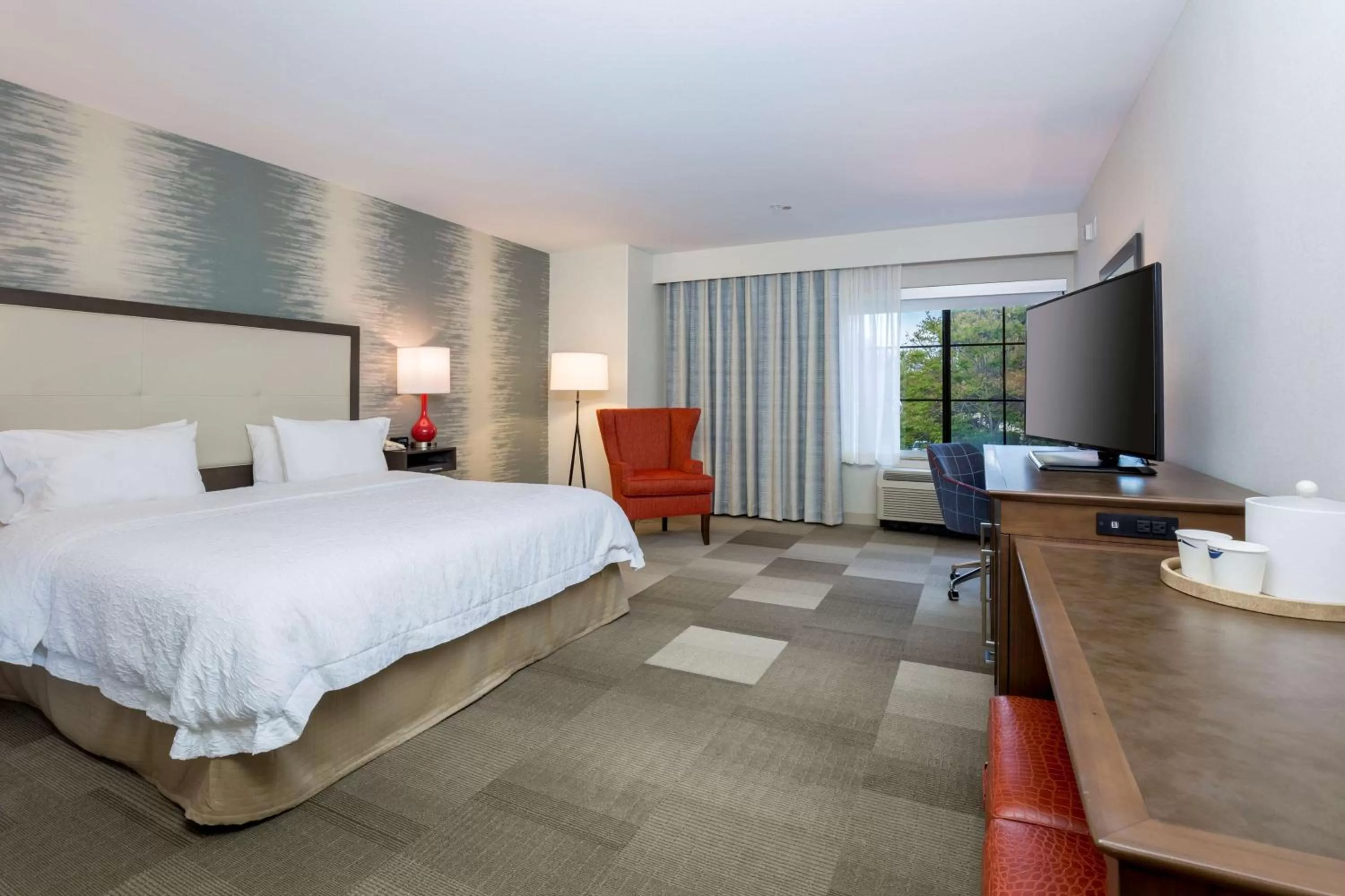 King Room - Disability Access/Hearing Accessible in Hampton Inn Santa Barbara/Goleta