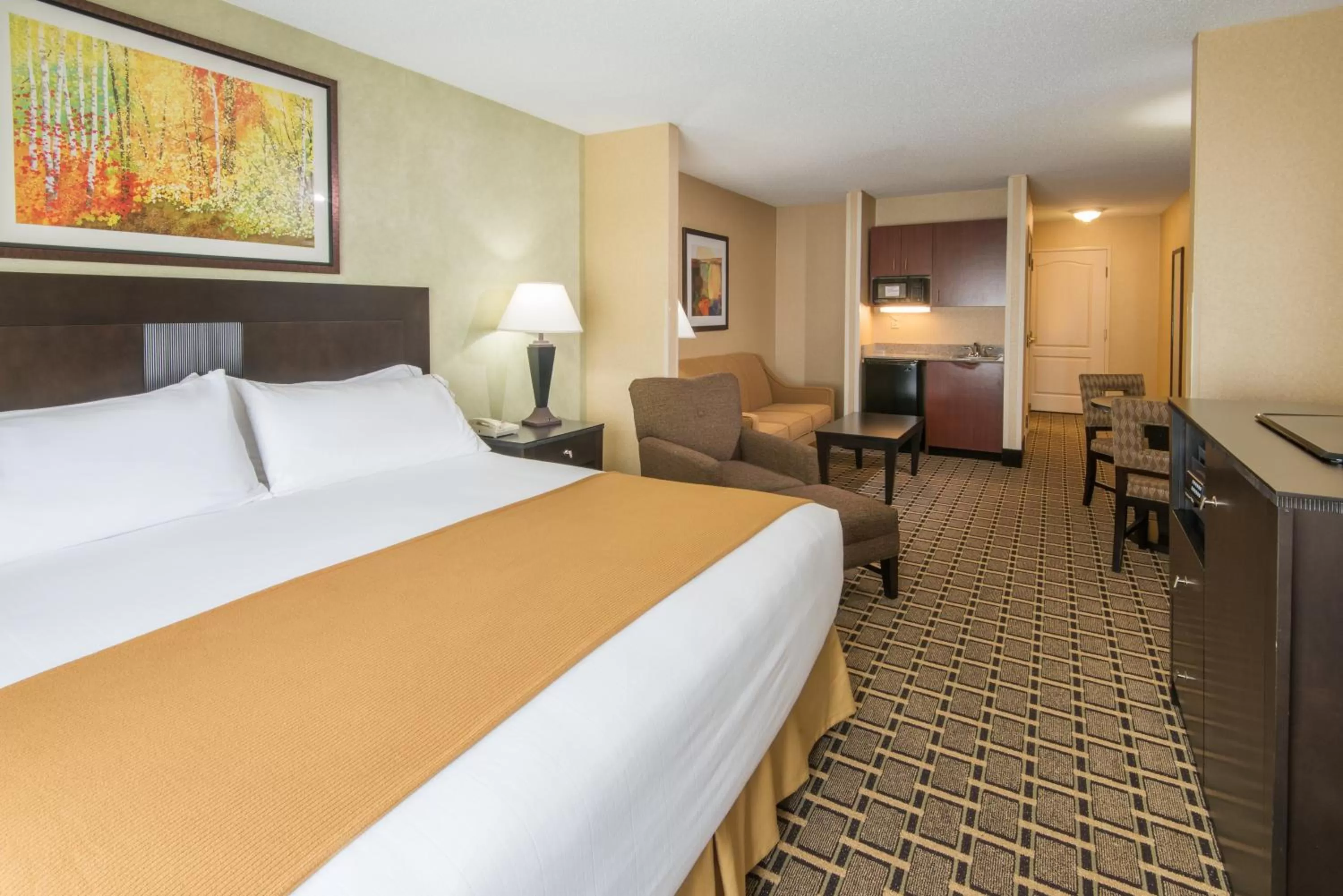 King Twin Suite with Sofa Bed - Non-Smoking in Holiday Inn Express & Suites - Sharon-Hermitage, an IHG Hotel