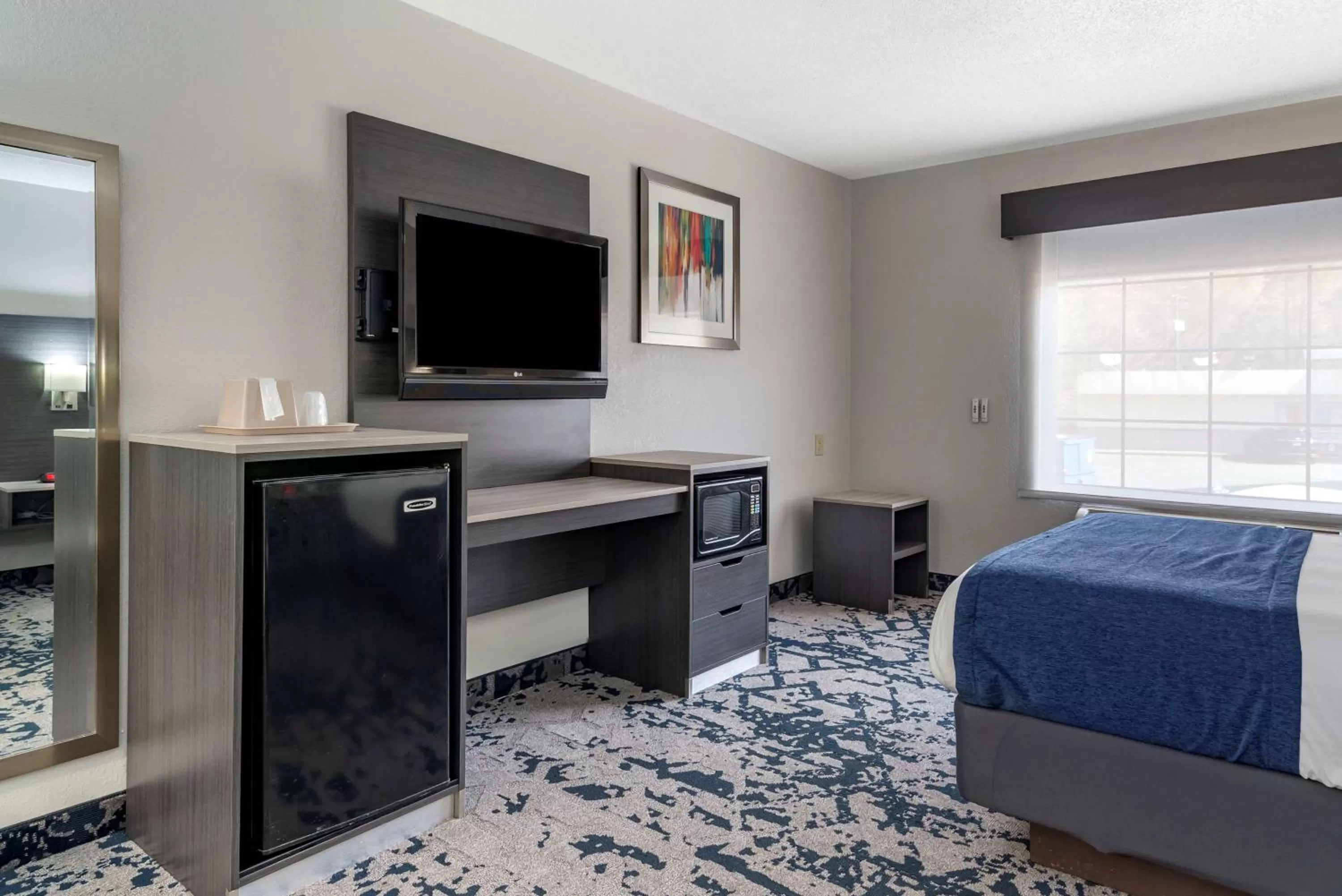 Queen Room with Roll in Shower - Disability Access/Non-Smoking in Best Western Allatoona Inn & Suites