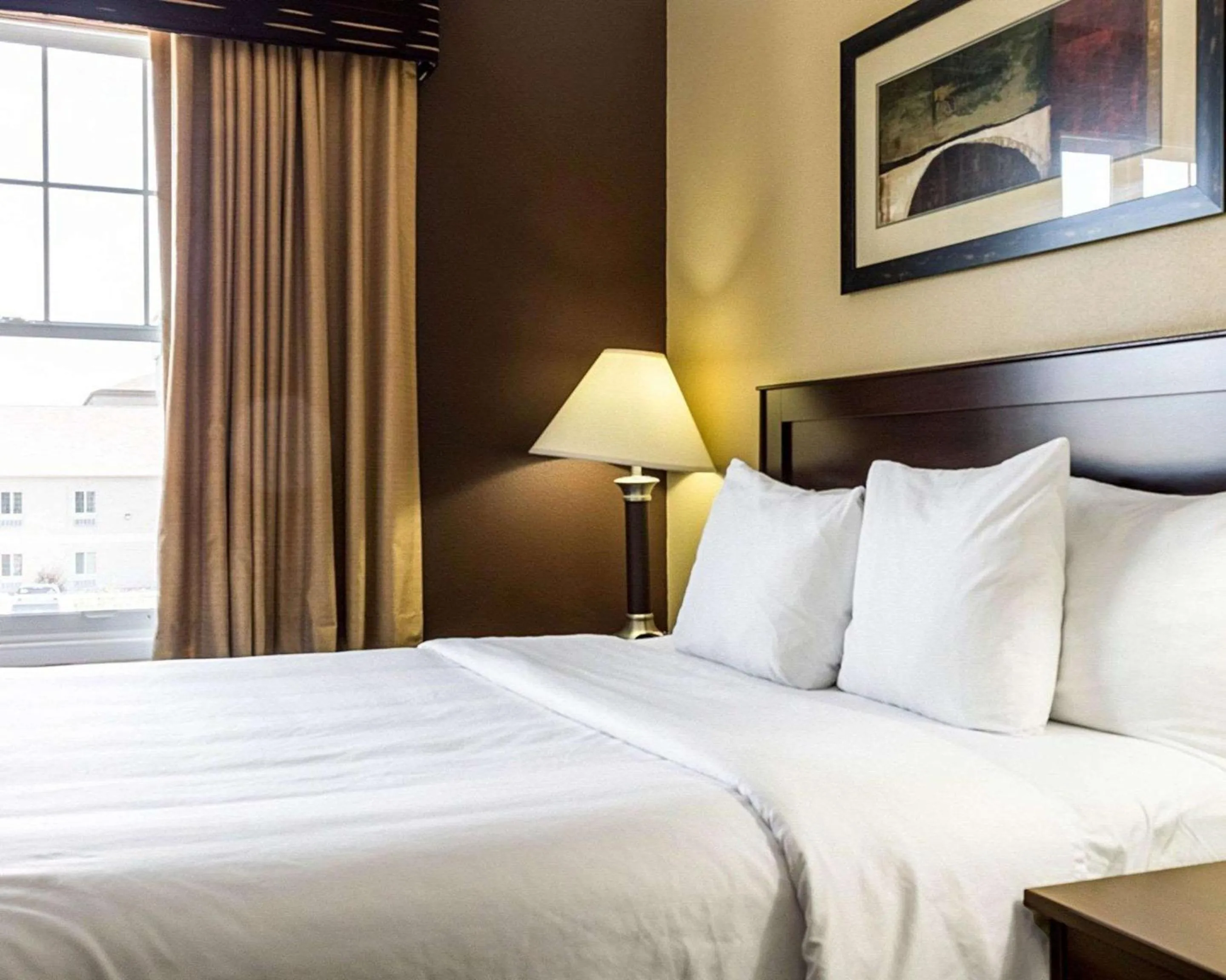 Efficiency Queen Suite - Non-Smoking in MainStay Suites Minot