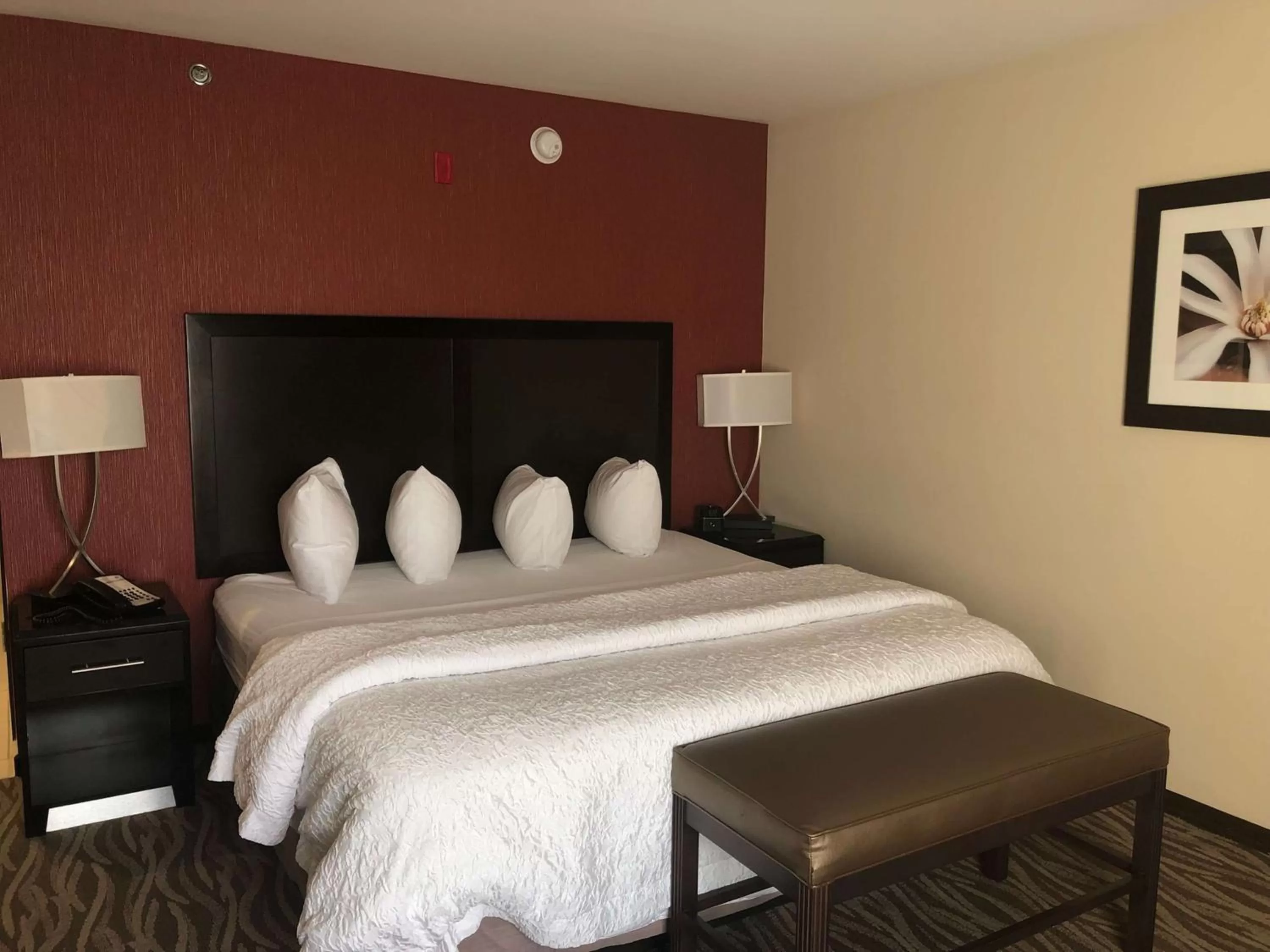King Room with King Bed - Non-Smoking in Hampton Inn Augusta/Gordon Highway