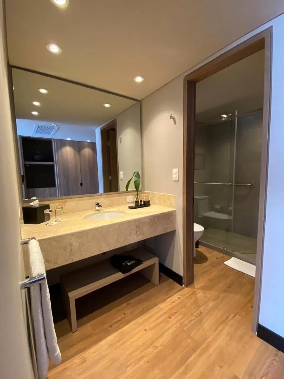 Superior King Room in Movich Hotel de Pereira