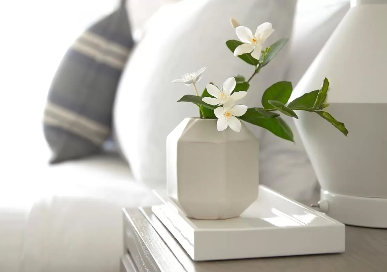 King Room - Disability Access in Parrot Key Hotel & Villas