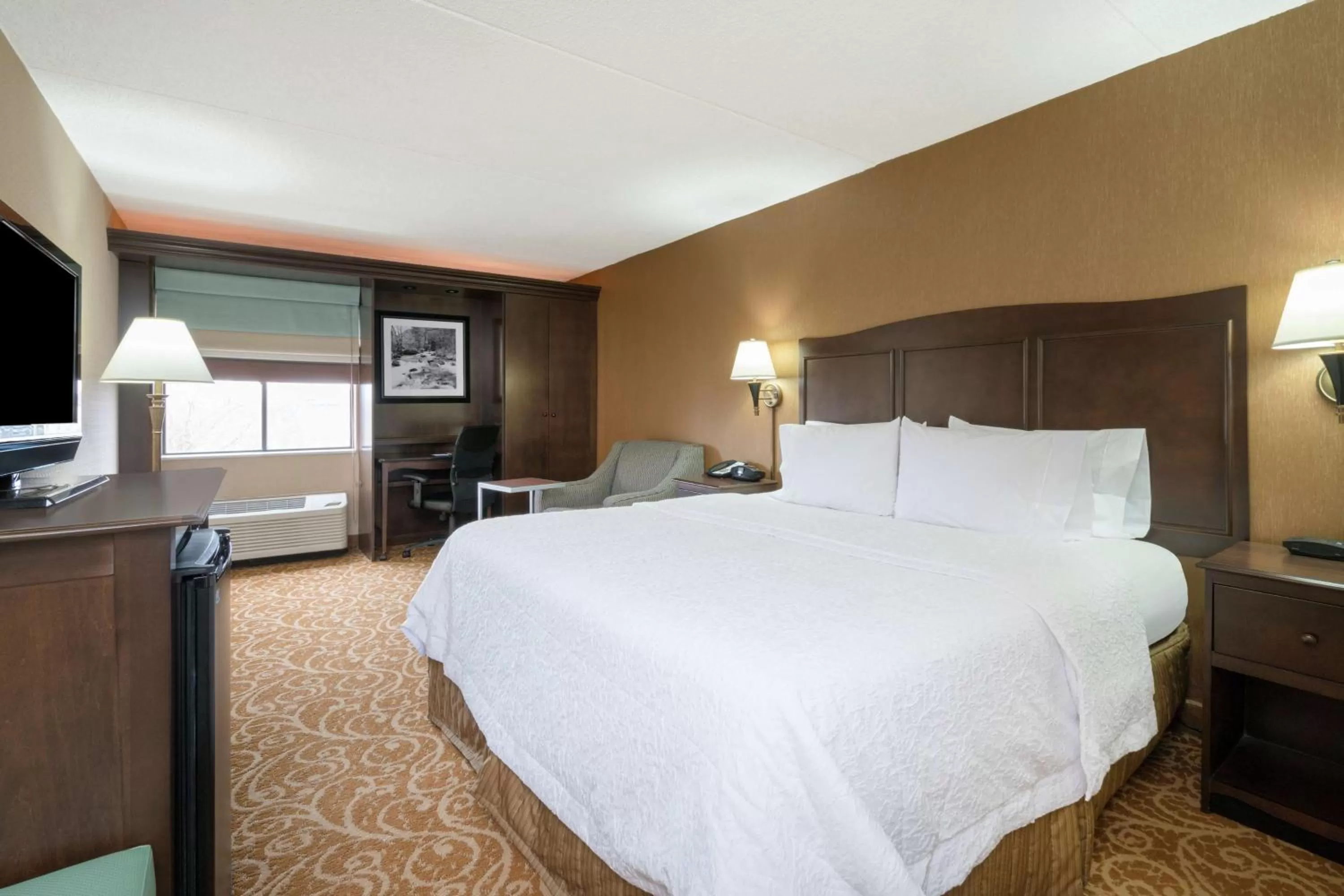 King Room with King Bed - Non-Smoking in Hampton Inn Downingtown/Exton