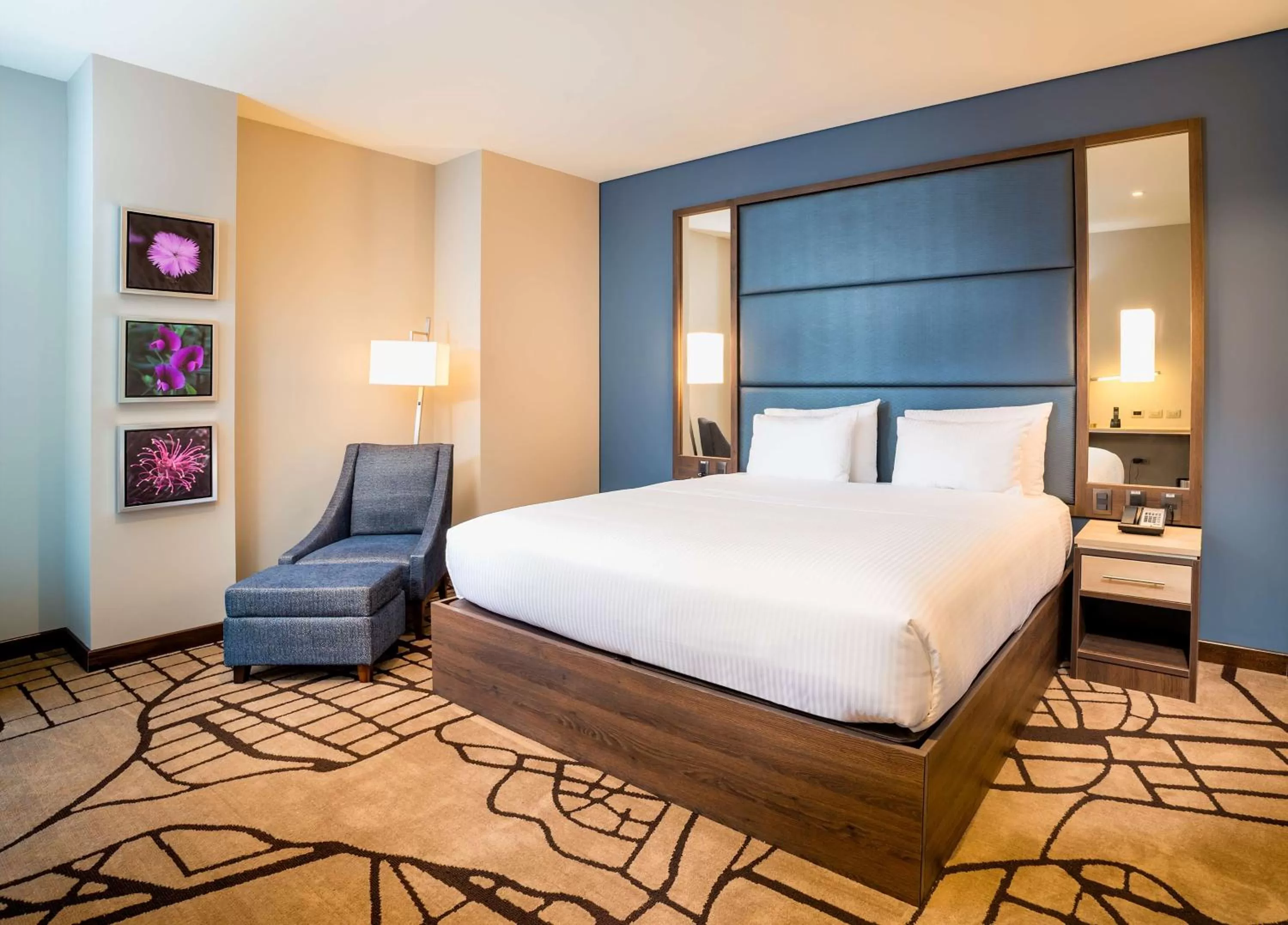 One-Bedroom King Suite in Hilton Garden Inn Bogota Airport