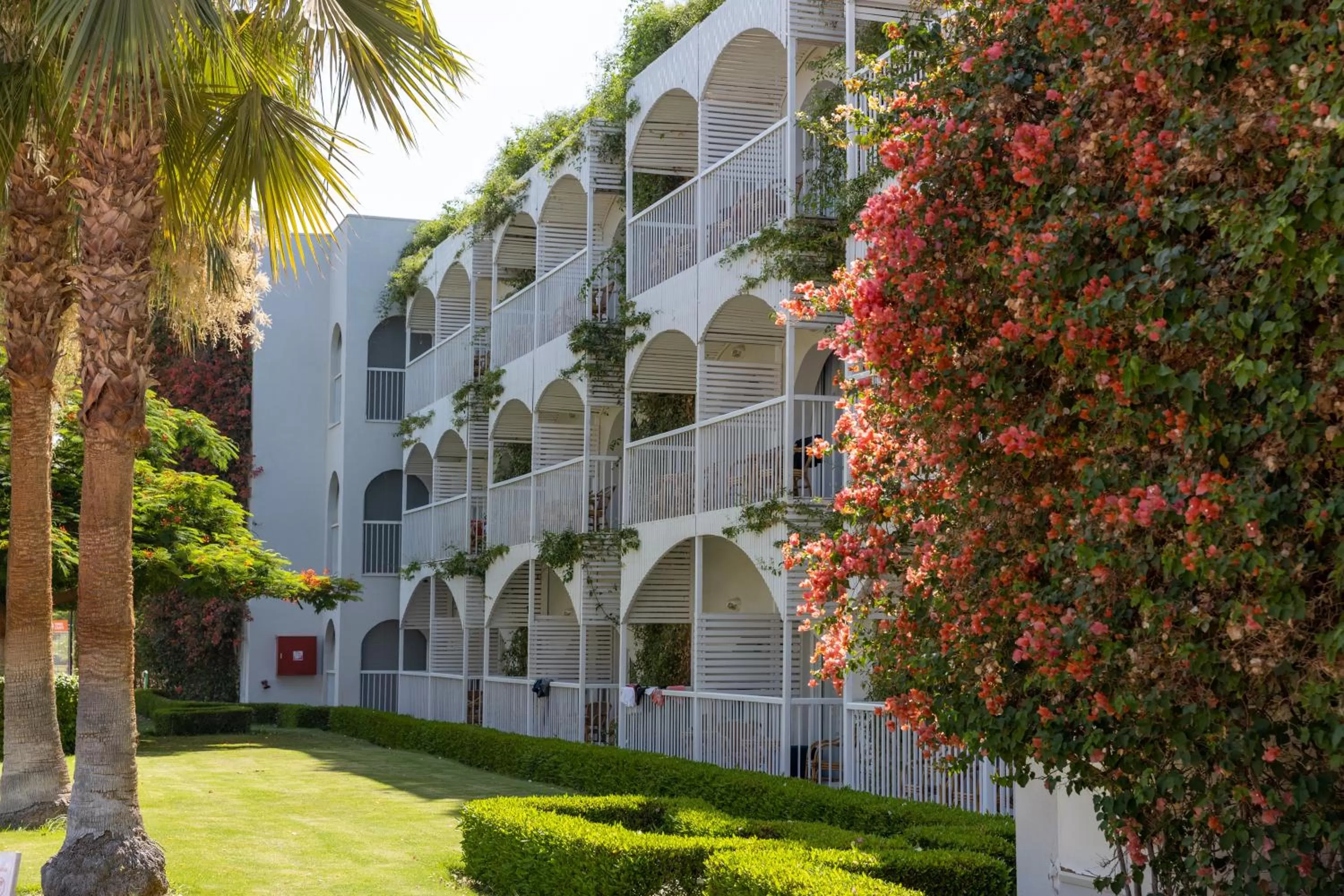 Superior Double or Twin Room with Garden View - single occupancy in Desert Rose Resort