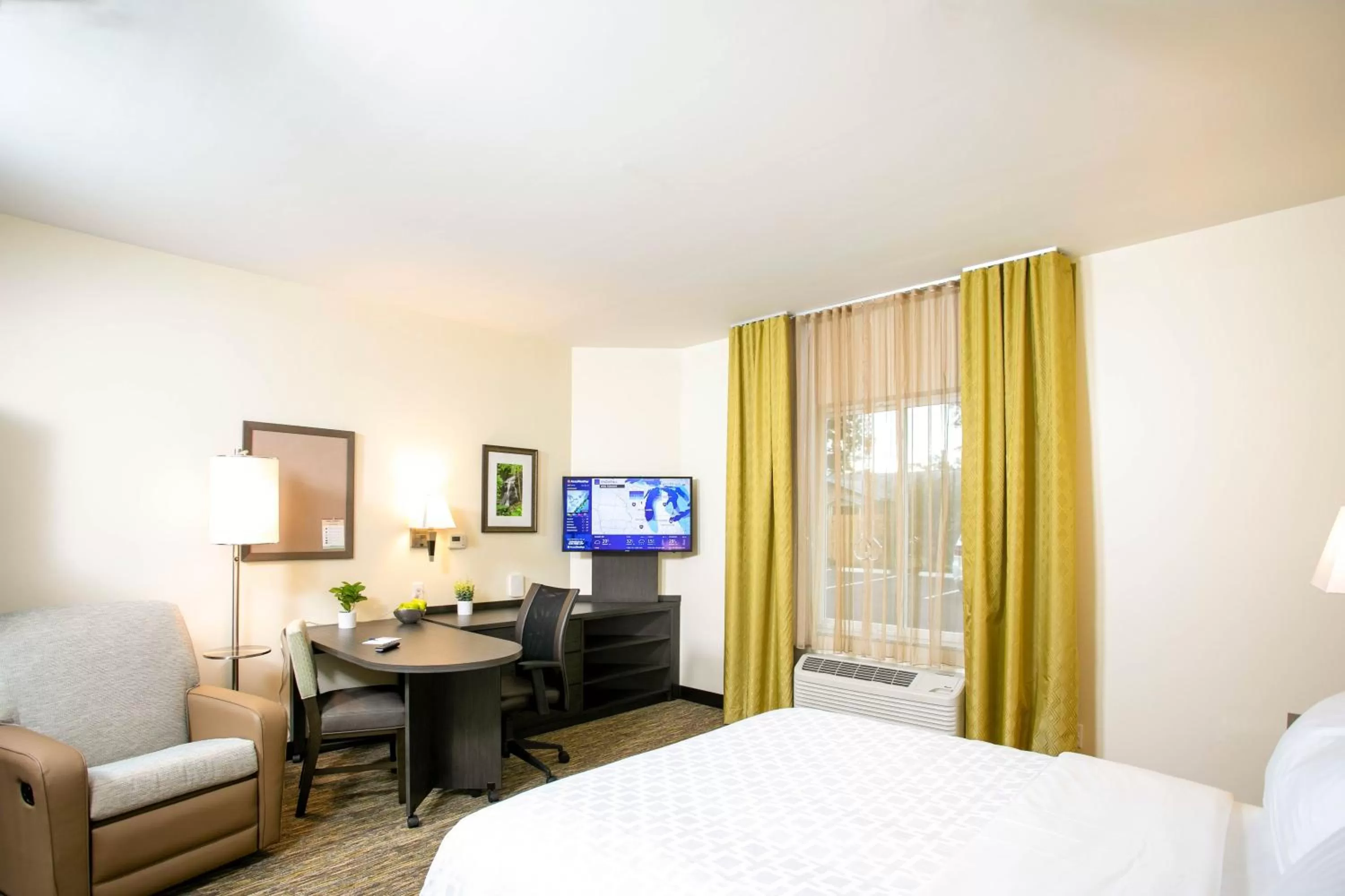 Studio Queen Suite in Candlewood Suites - Jacksonville - Mayport by IHG
