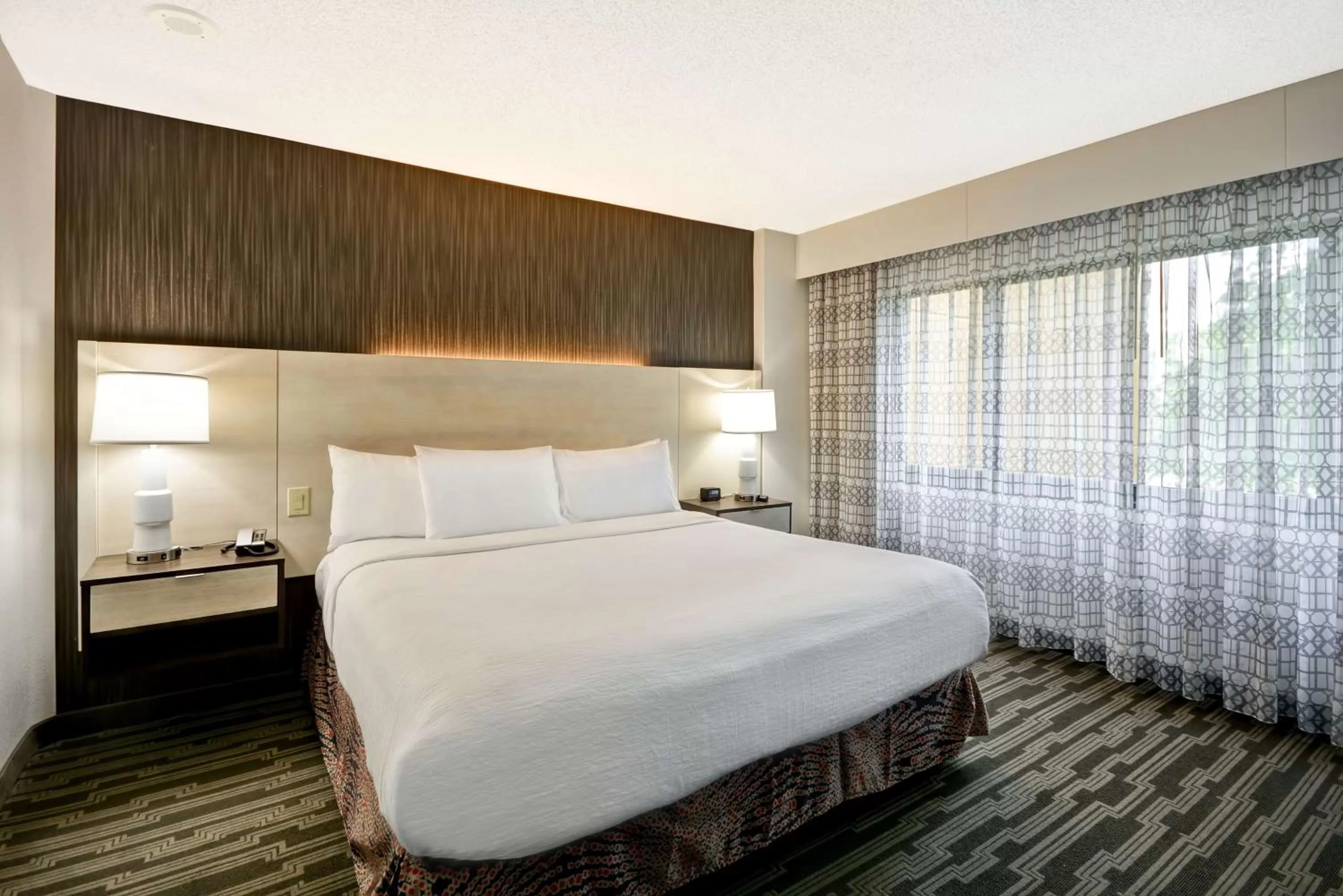 Premium King Suite - Non-Smoking in Embassy Suites Charlotte