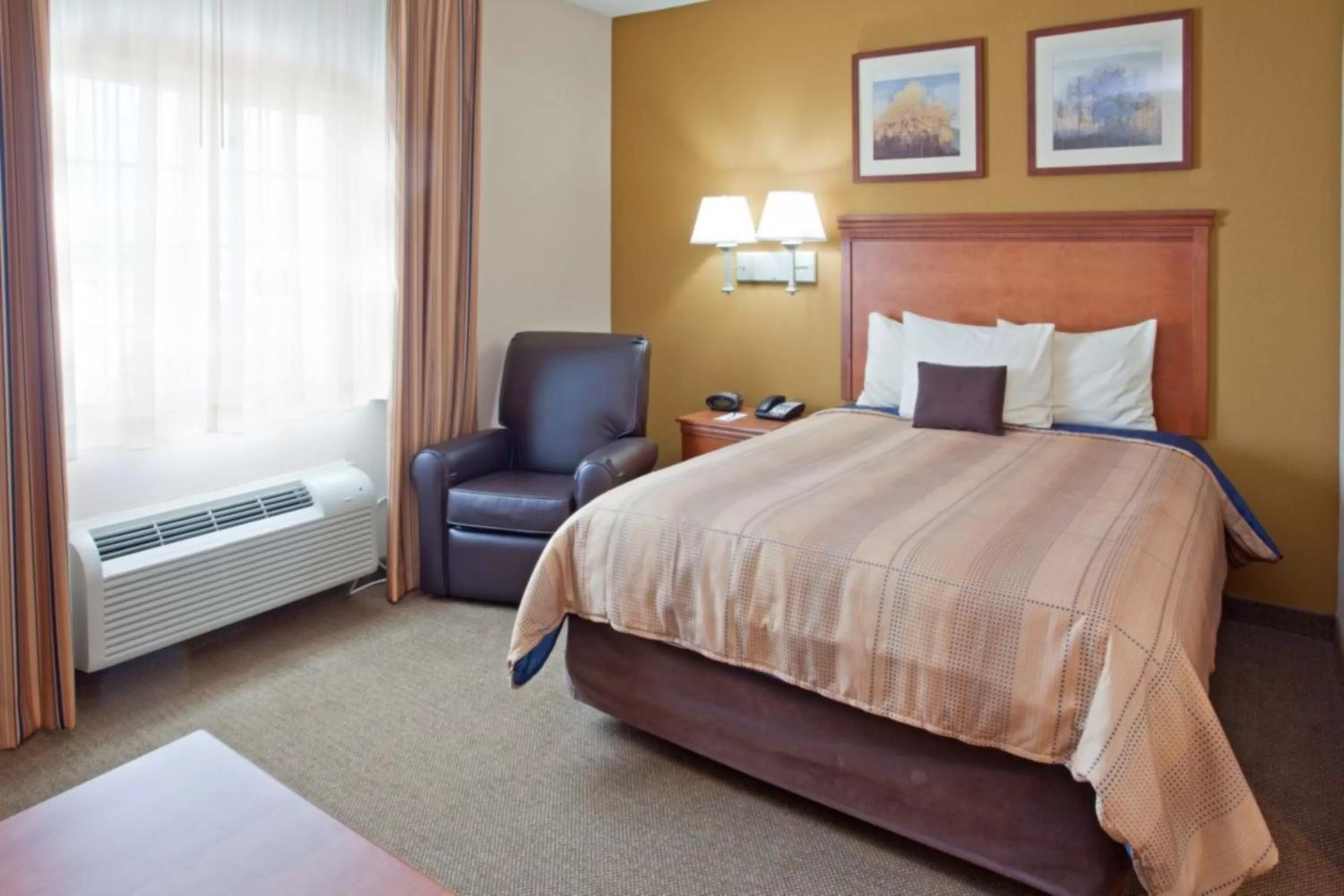 Queen Studio with Roll-In Shower - Disability Access in Candlewood Suites League City by IHG