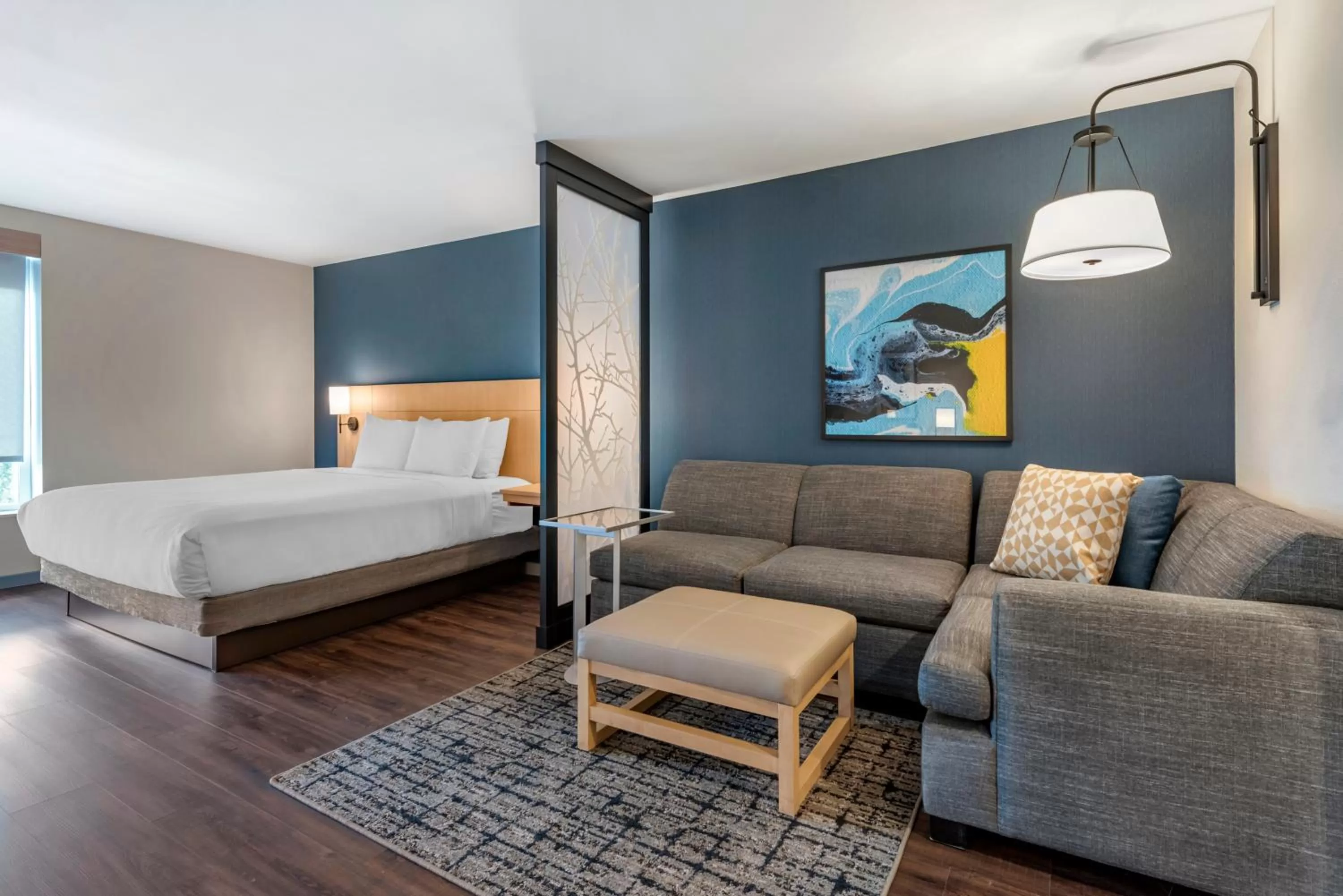 King Room with Sofa Bed and Roll-In Shower - Disability Access in Hyatt Place Indianapolis Carmel