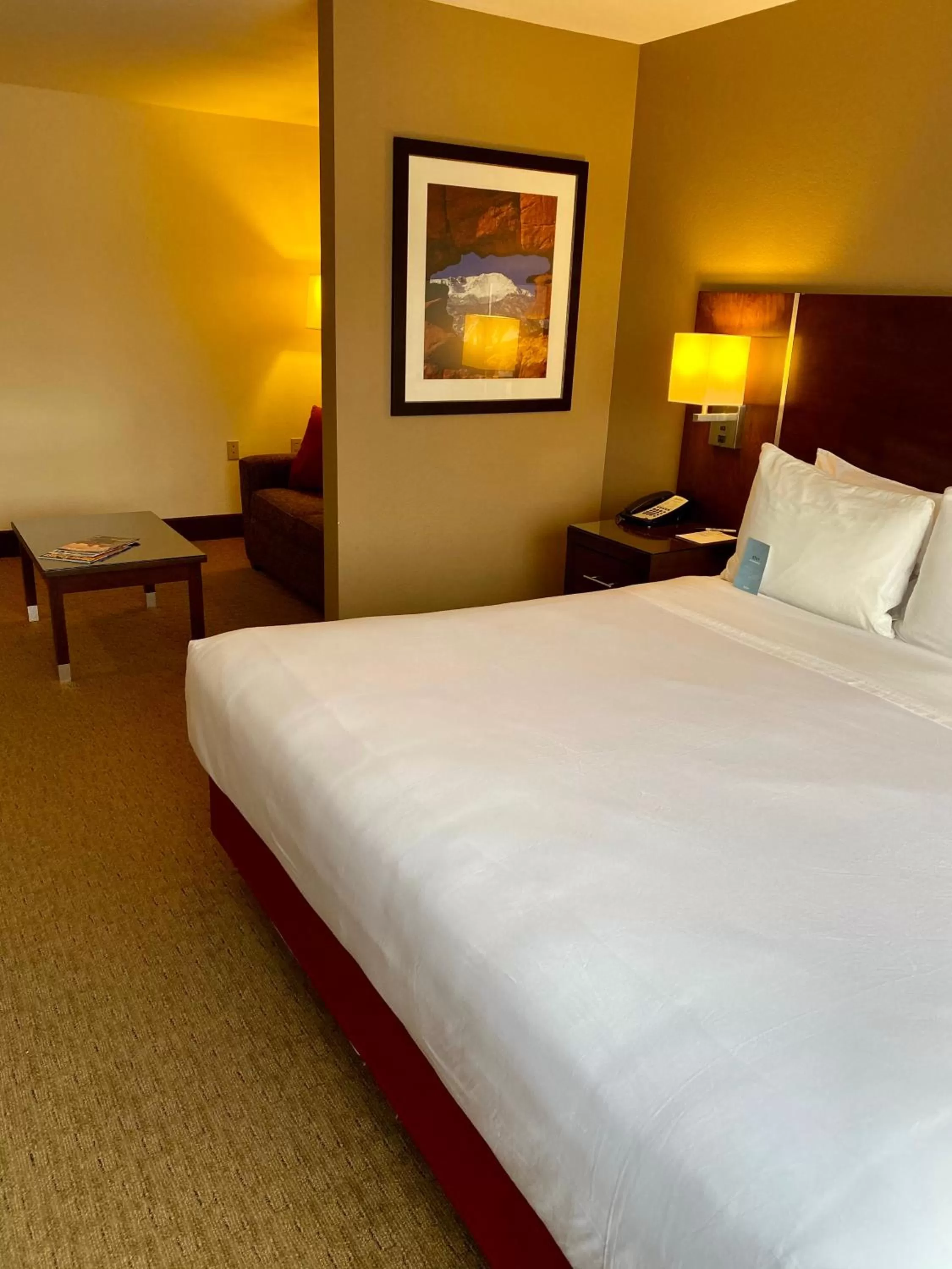 King Room with Accessible Roll-In Shower in Radisson Hotel Colorado Springs