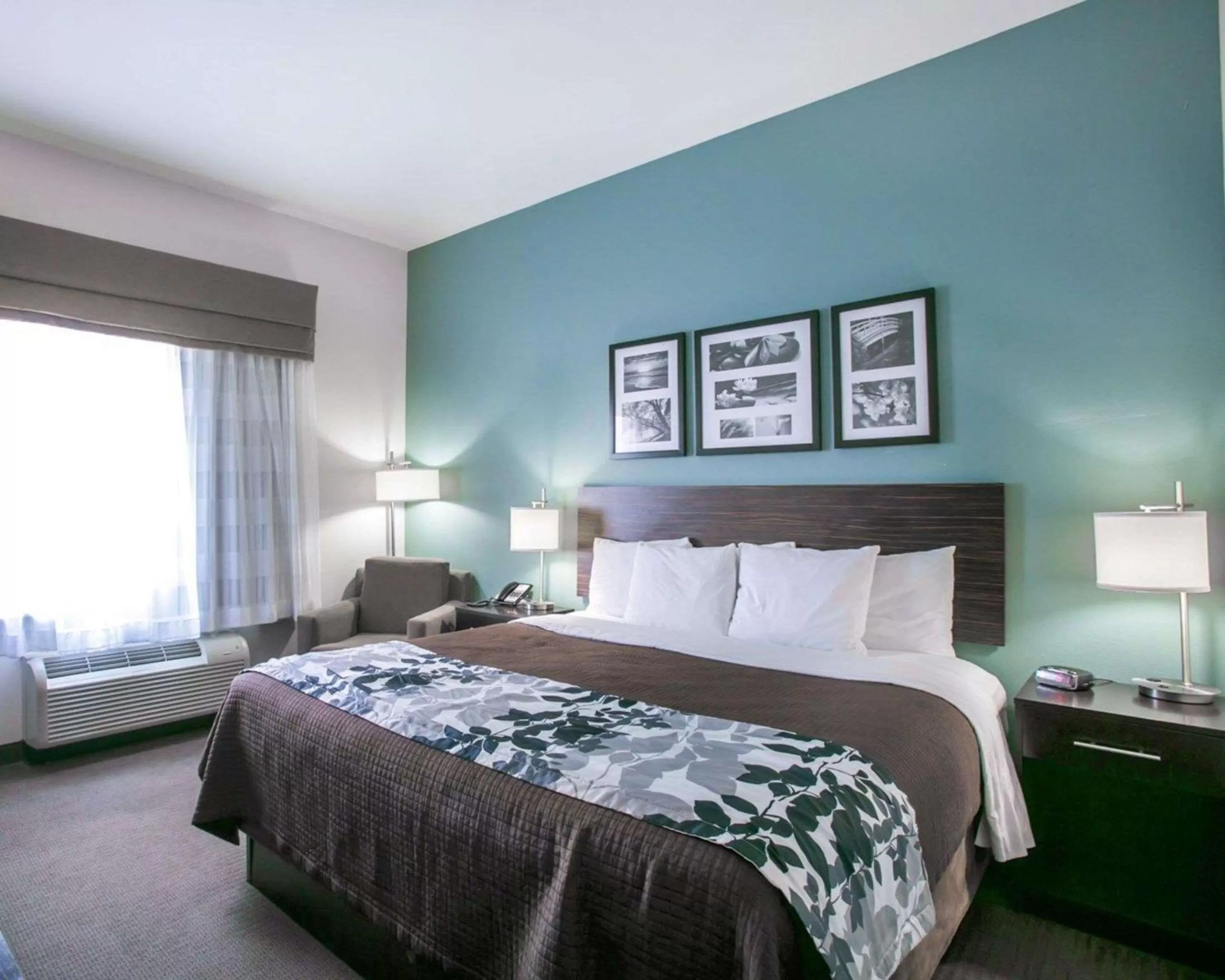 King Room - Non-Smoking in Sleep Inn & Suites Austin North - I-35