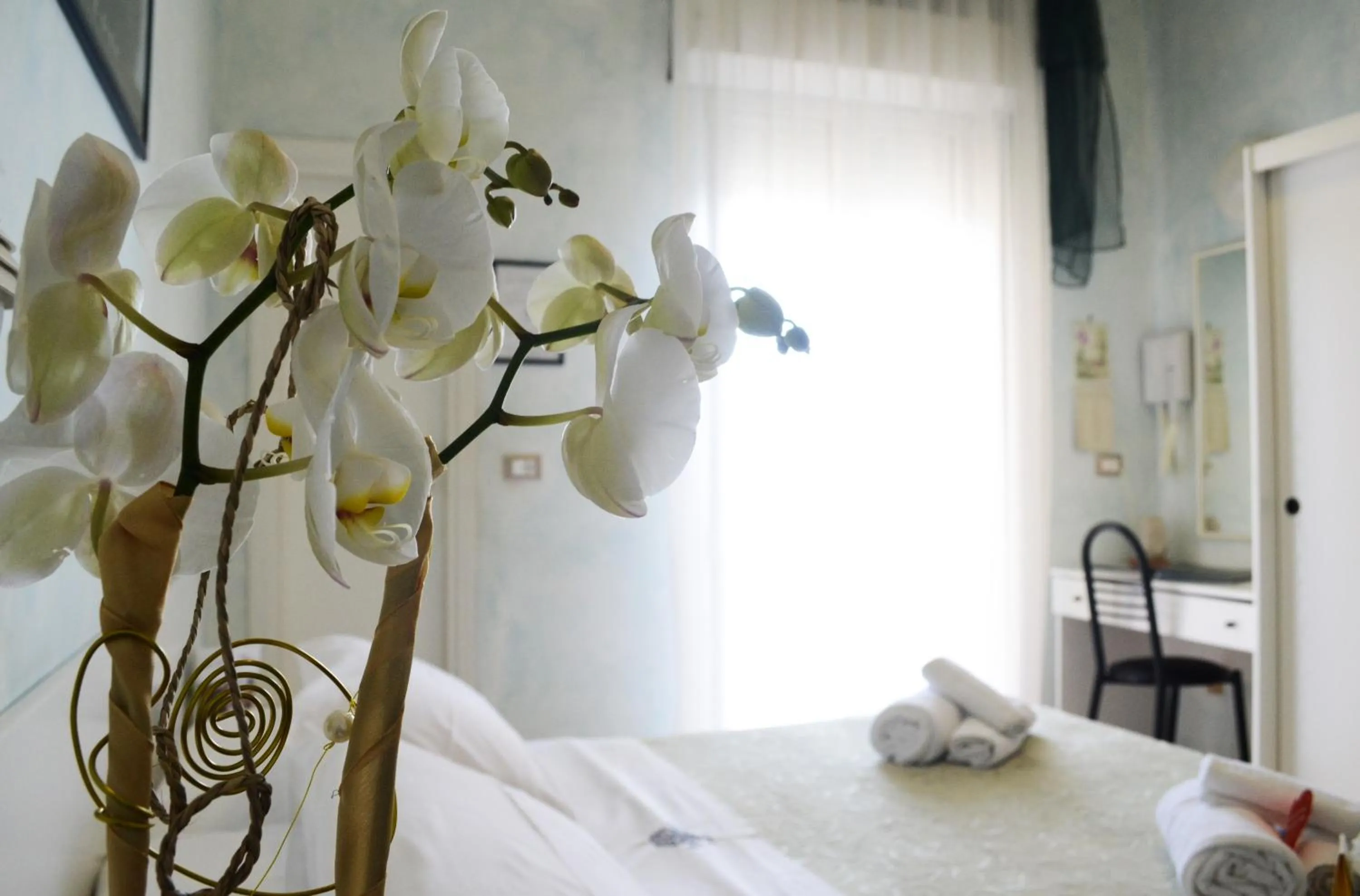 Standard Double Room in Hotel Dei Platani