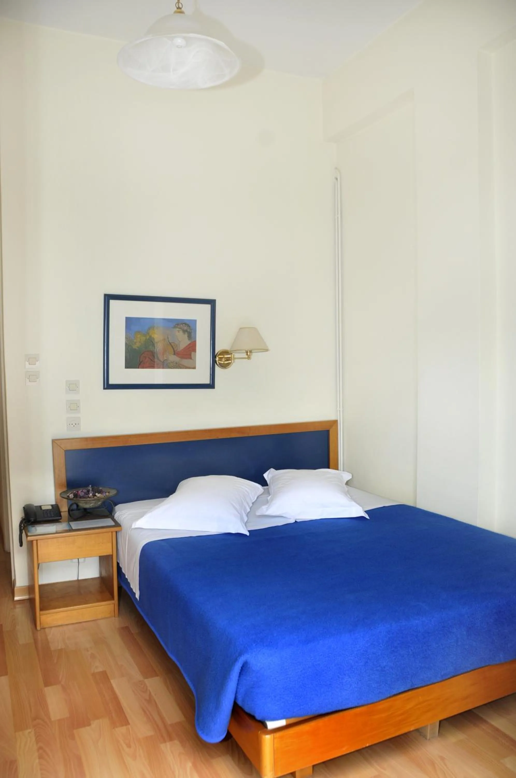 Single Room in Hotel Elena