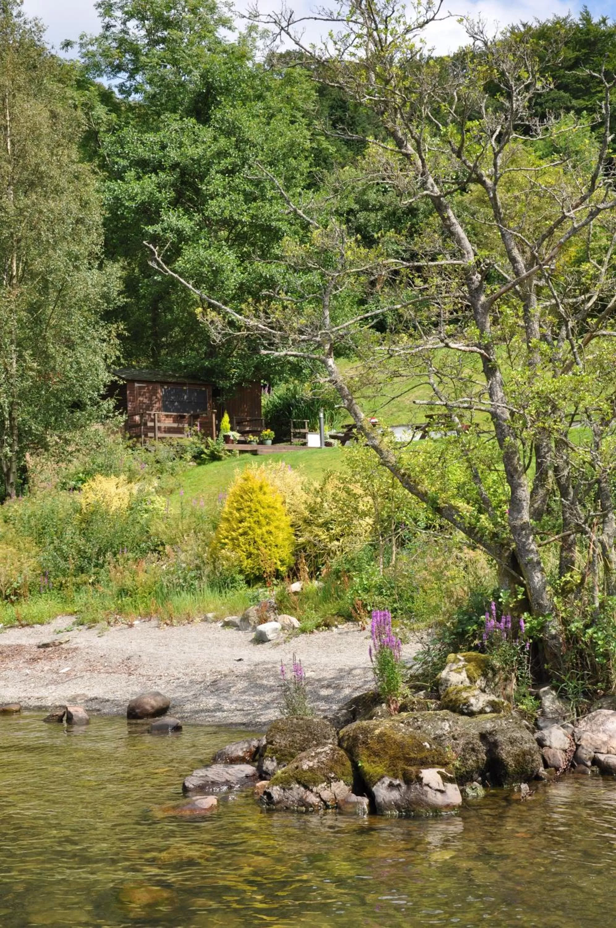 Standard Single Room in Beech Hill Hotel & Spa