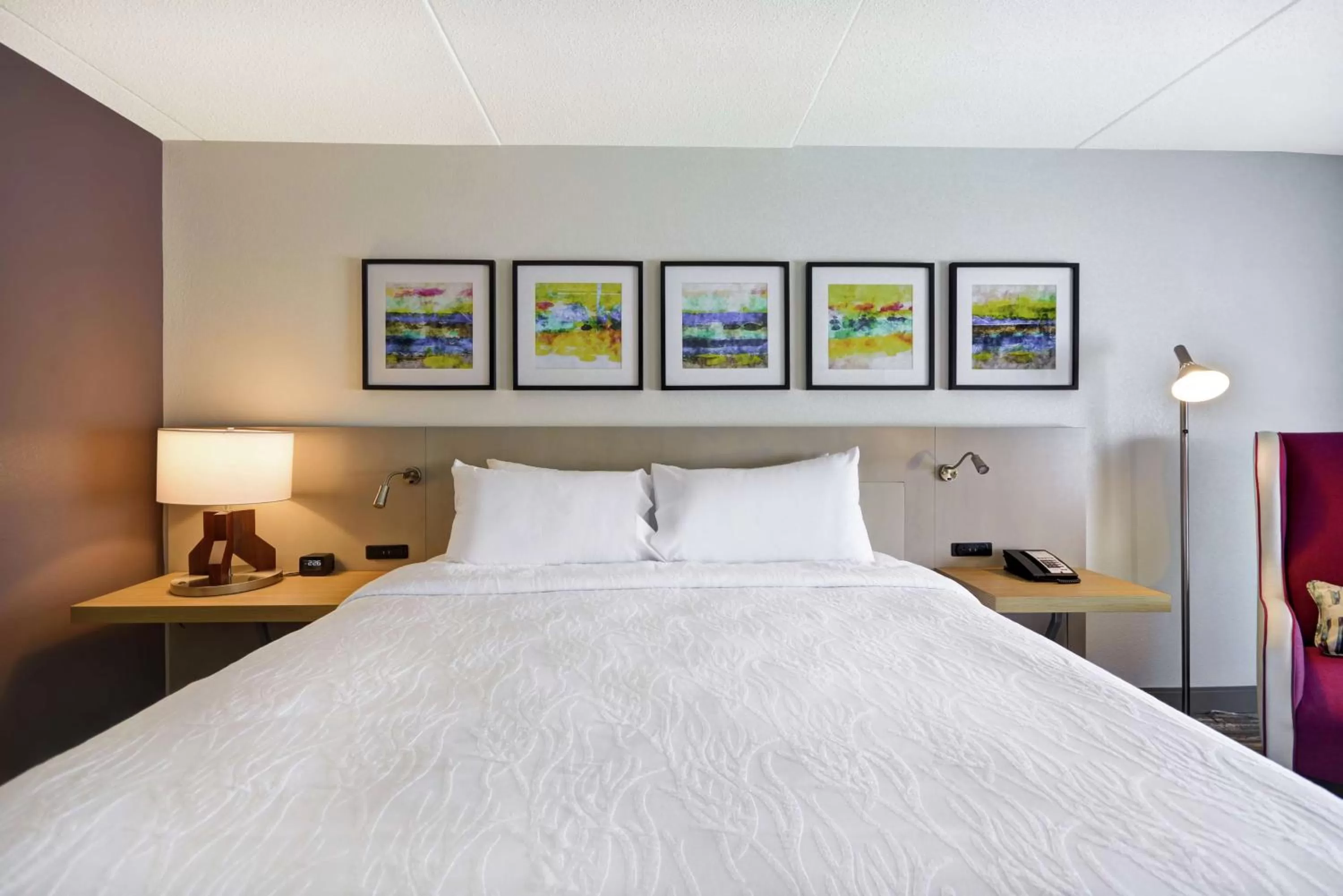 King Room with Tub - Mobility and Hearing Access in Hilton Garden Inn Panama City