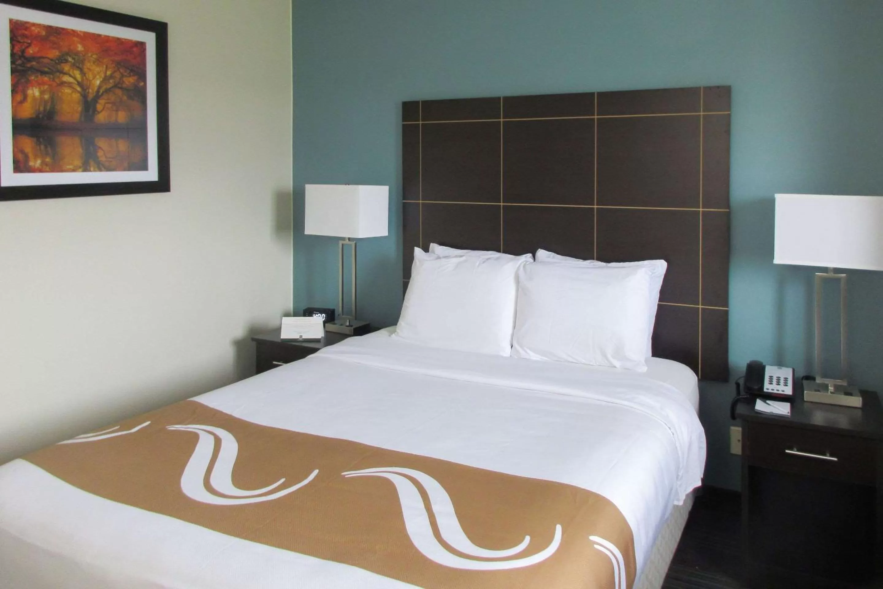 Bed in Quality Inn Mount Pleasant