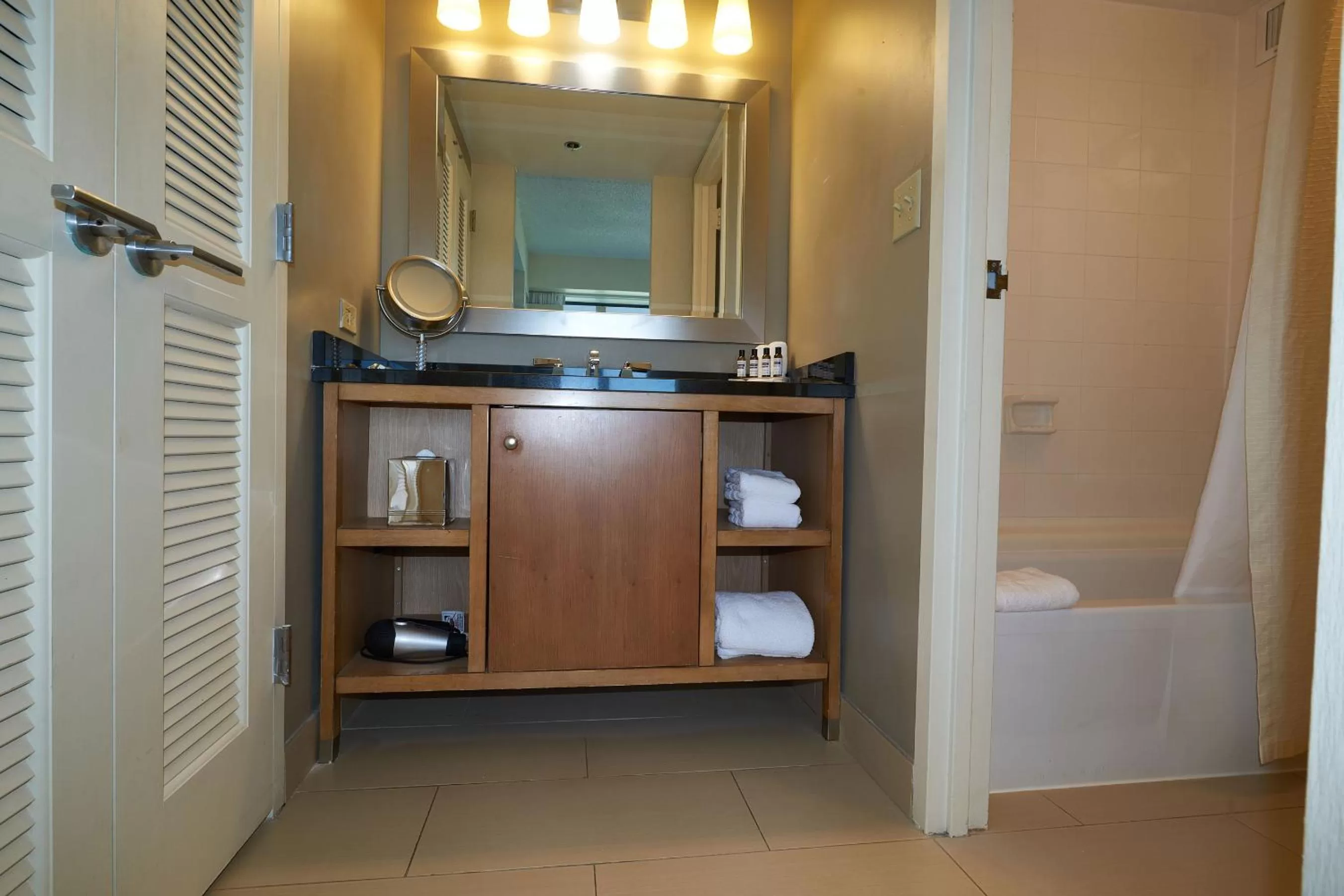 Double Room with Accessible Shower - Disability Access in Hyatt Regency Lisle near Naperville