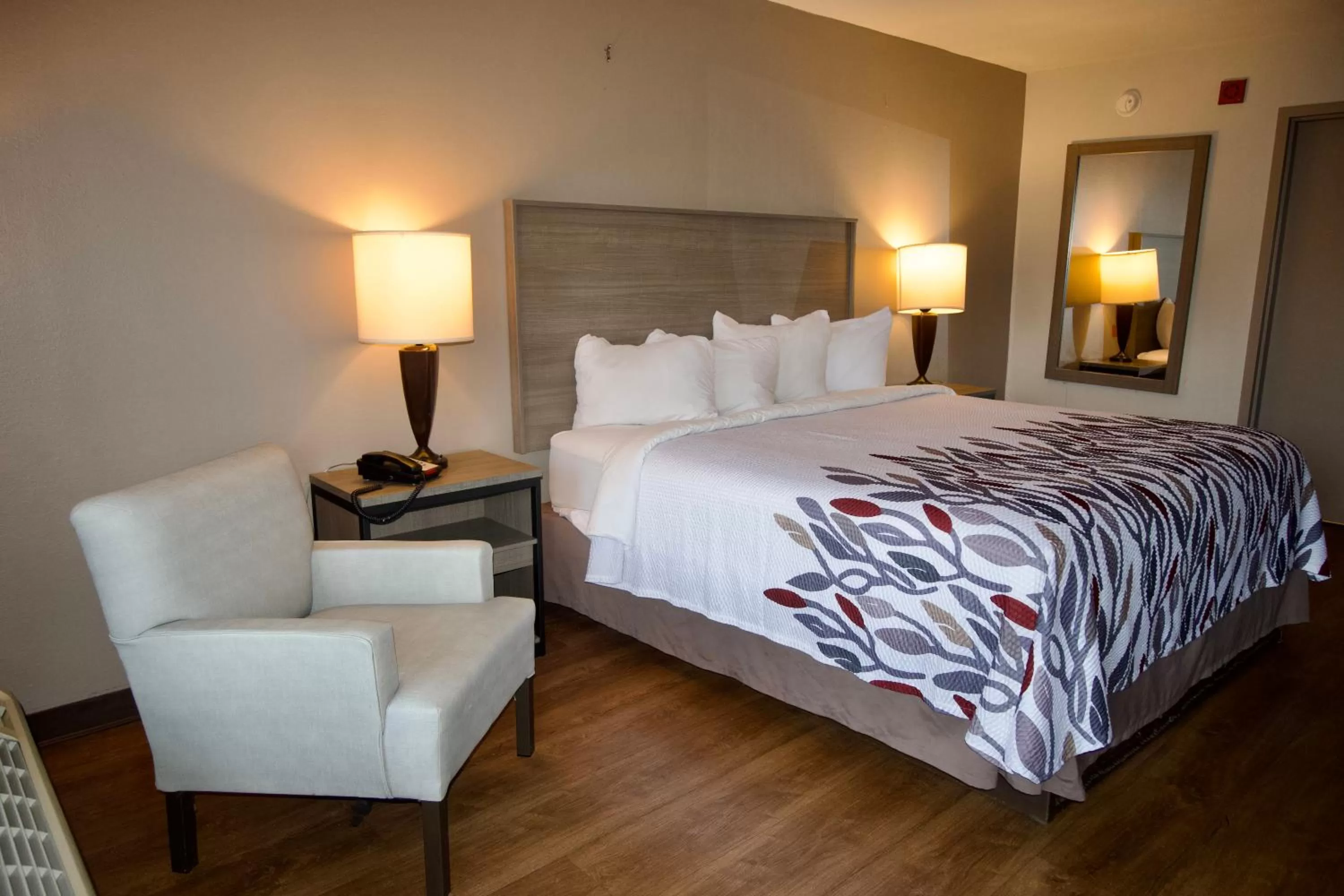 Deluxe King Room Disabiltiy Access Roll-In Shower Non-Smoking in Red Roof Inn Savannah North I-95 - Port Wentworth